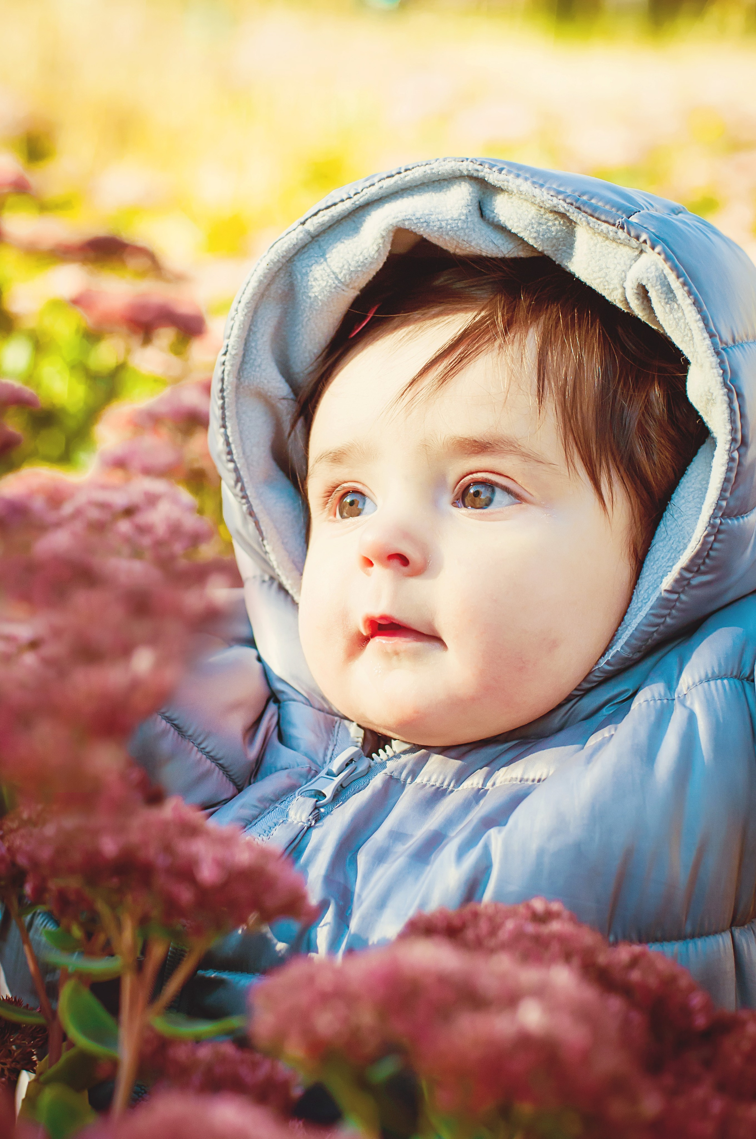 Family and Children Photographer in Slovenia. Wedding and Family Photographer in Slovenia