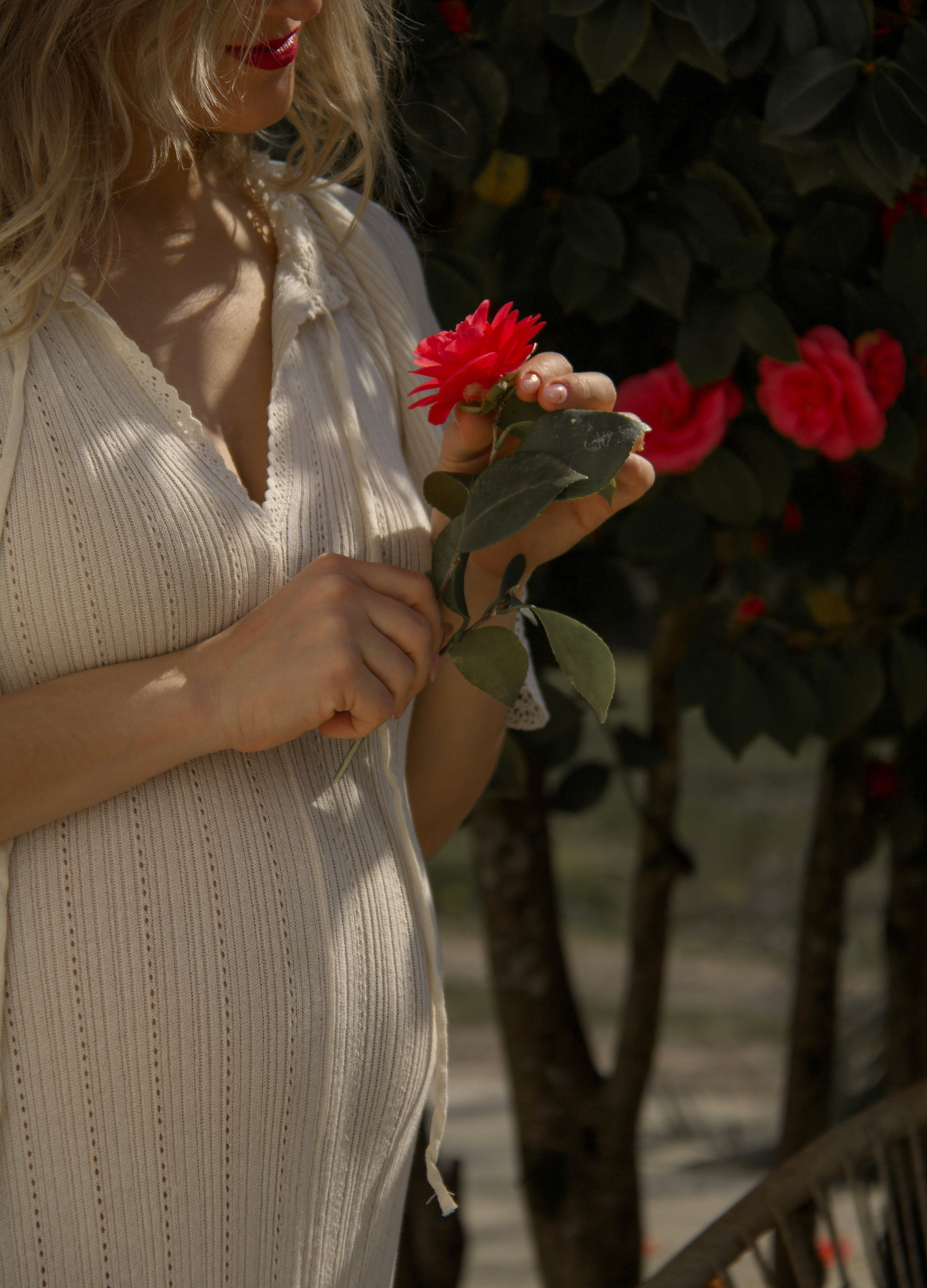 La dame aux camélias