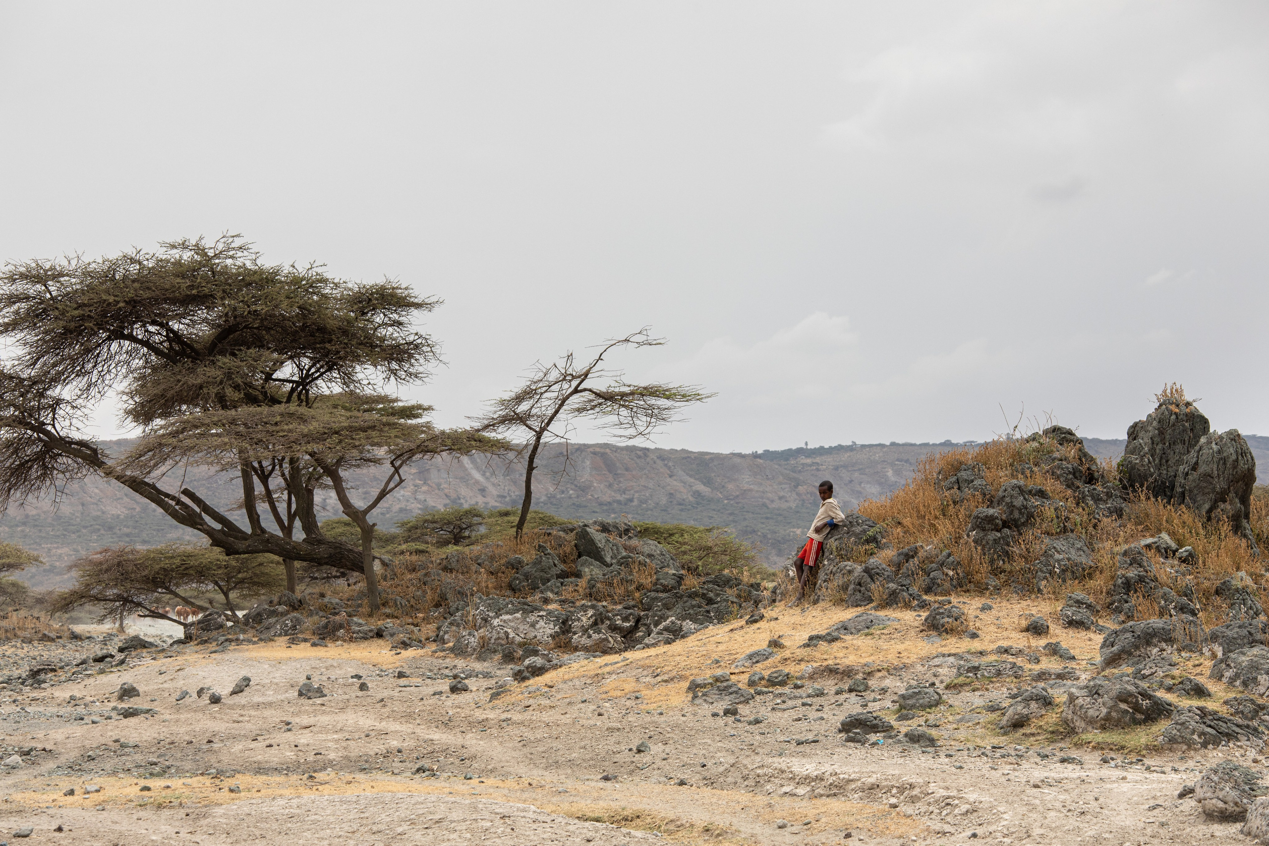 Abijatta Shalla National Park, Ethiopia. Documentary, lifestile photographer in Morocco Marina Chaikovskaia