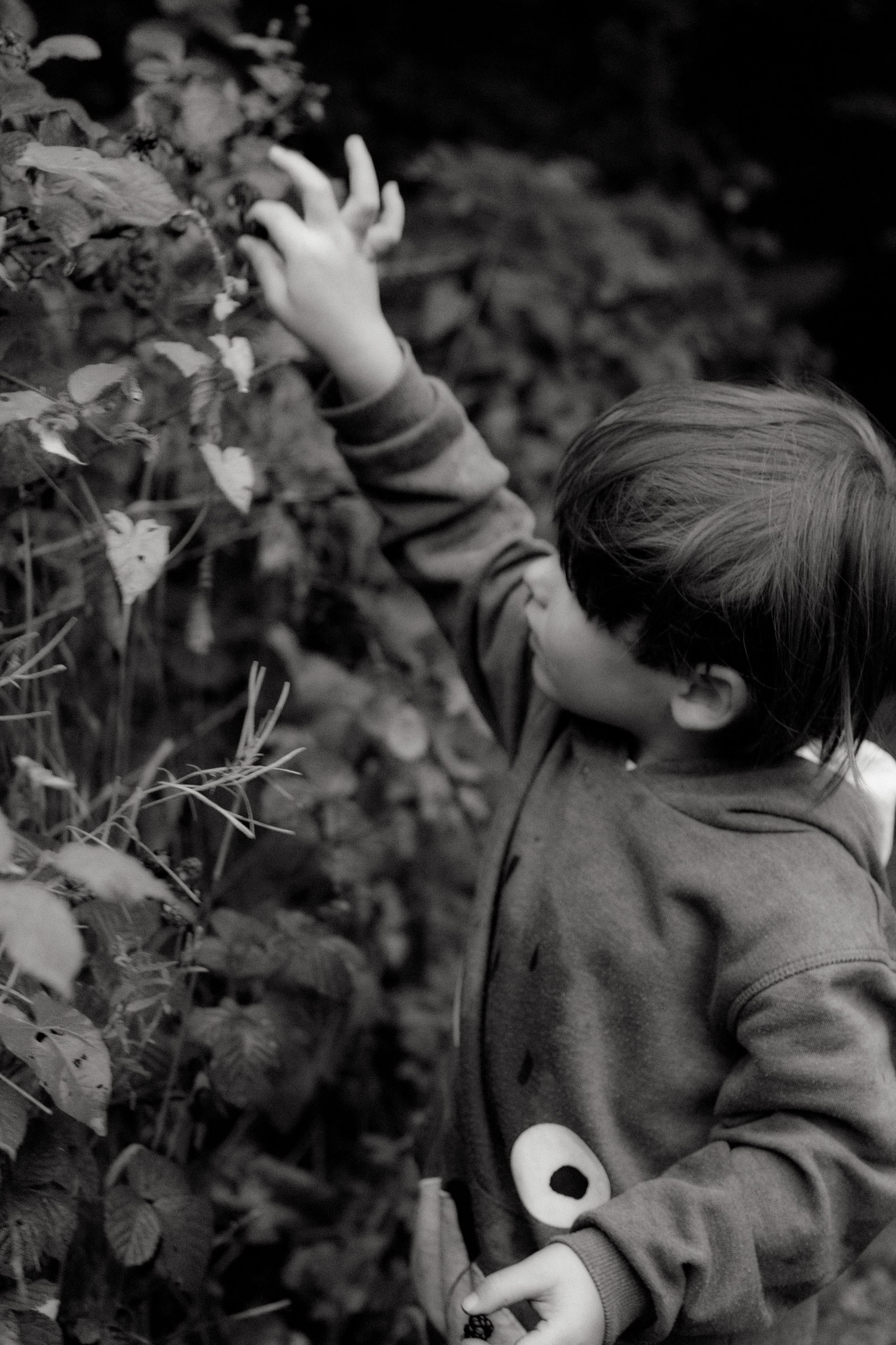 Somerset | Family Photographer in London and Kent