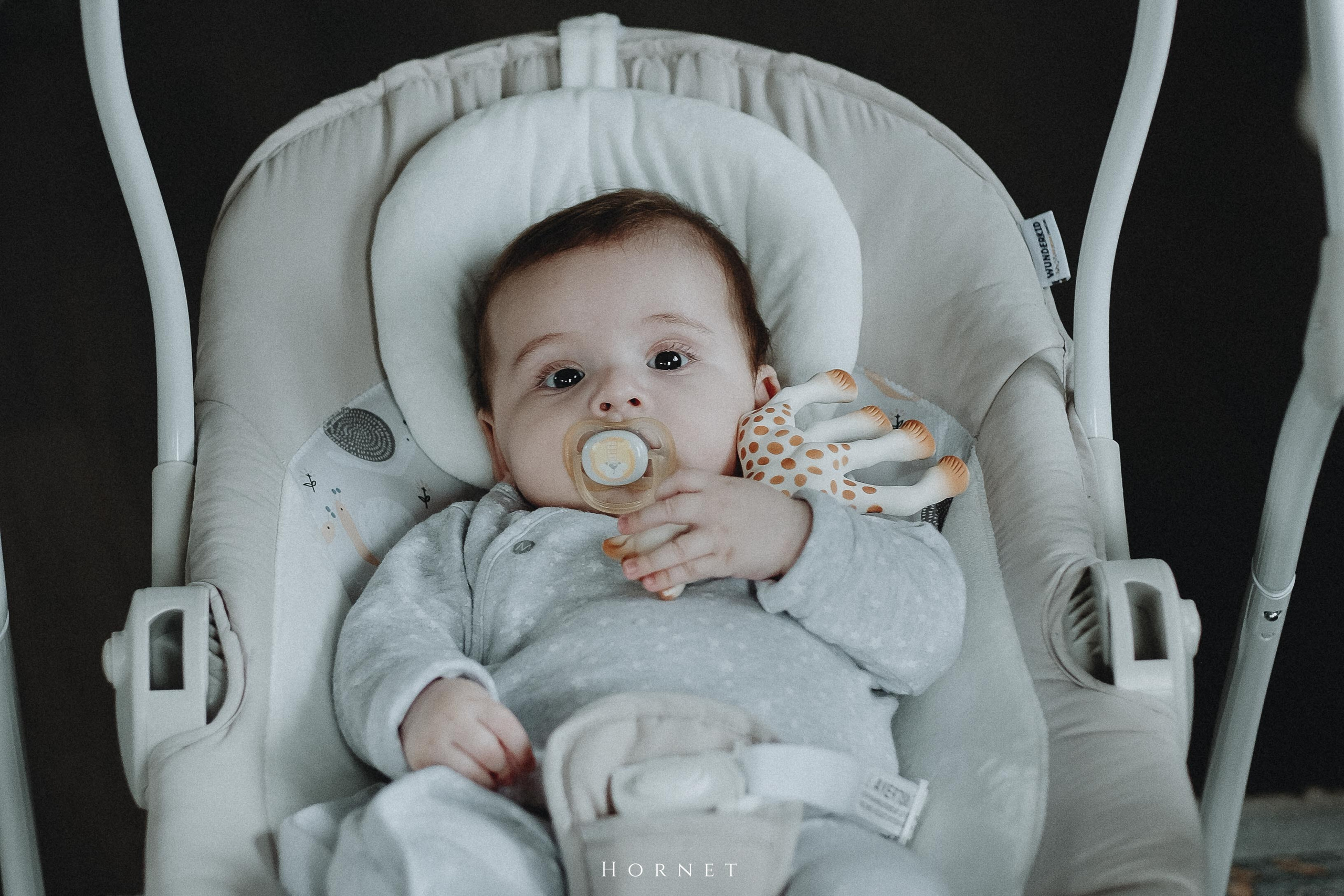 Mihail-Sebastian. Hornetart
