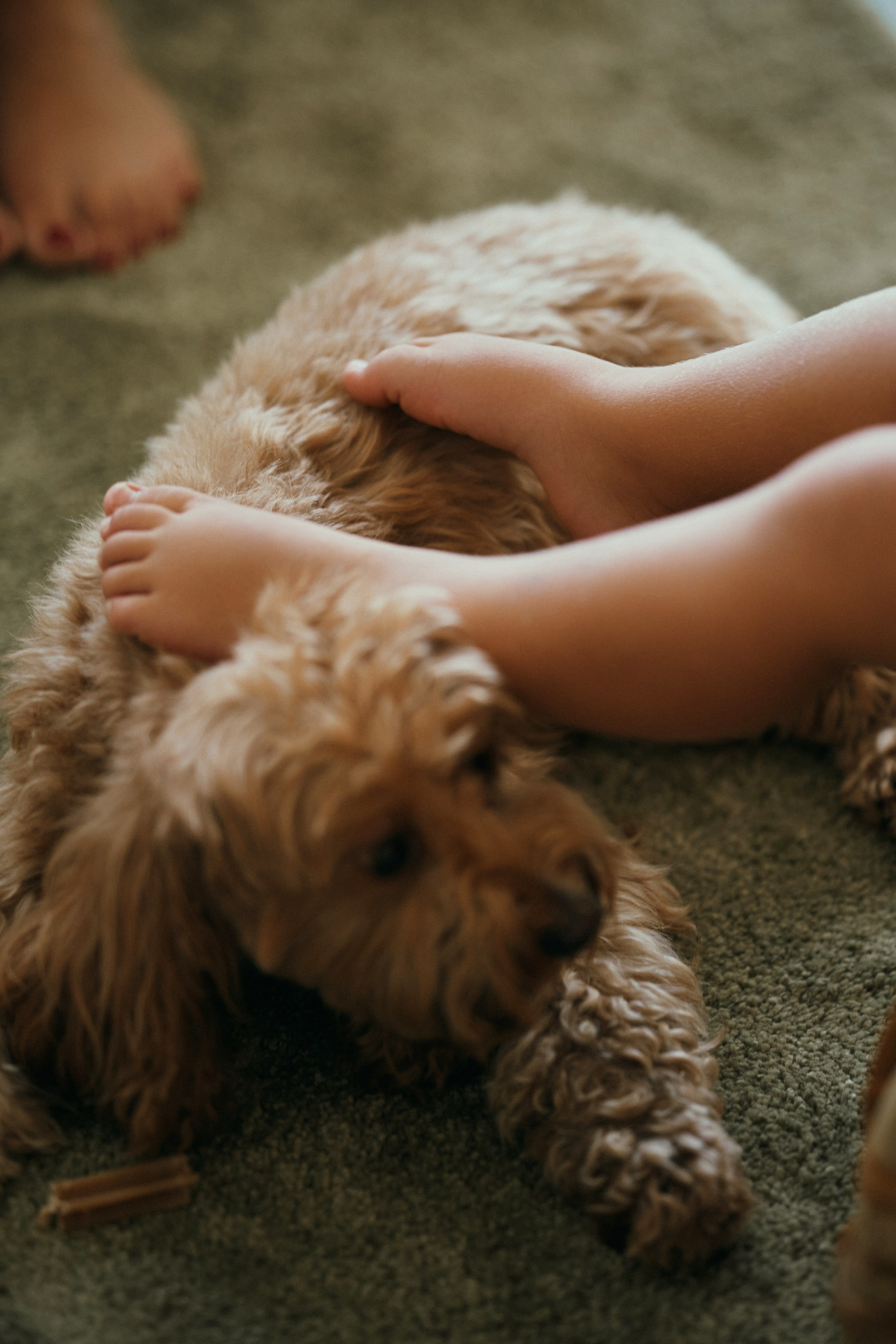 Милый дом. Маленький праздник. Фотограф в Барселоне Жанна Захарченко