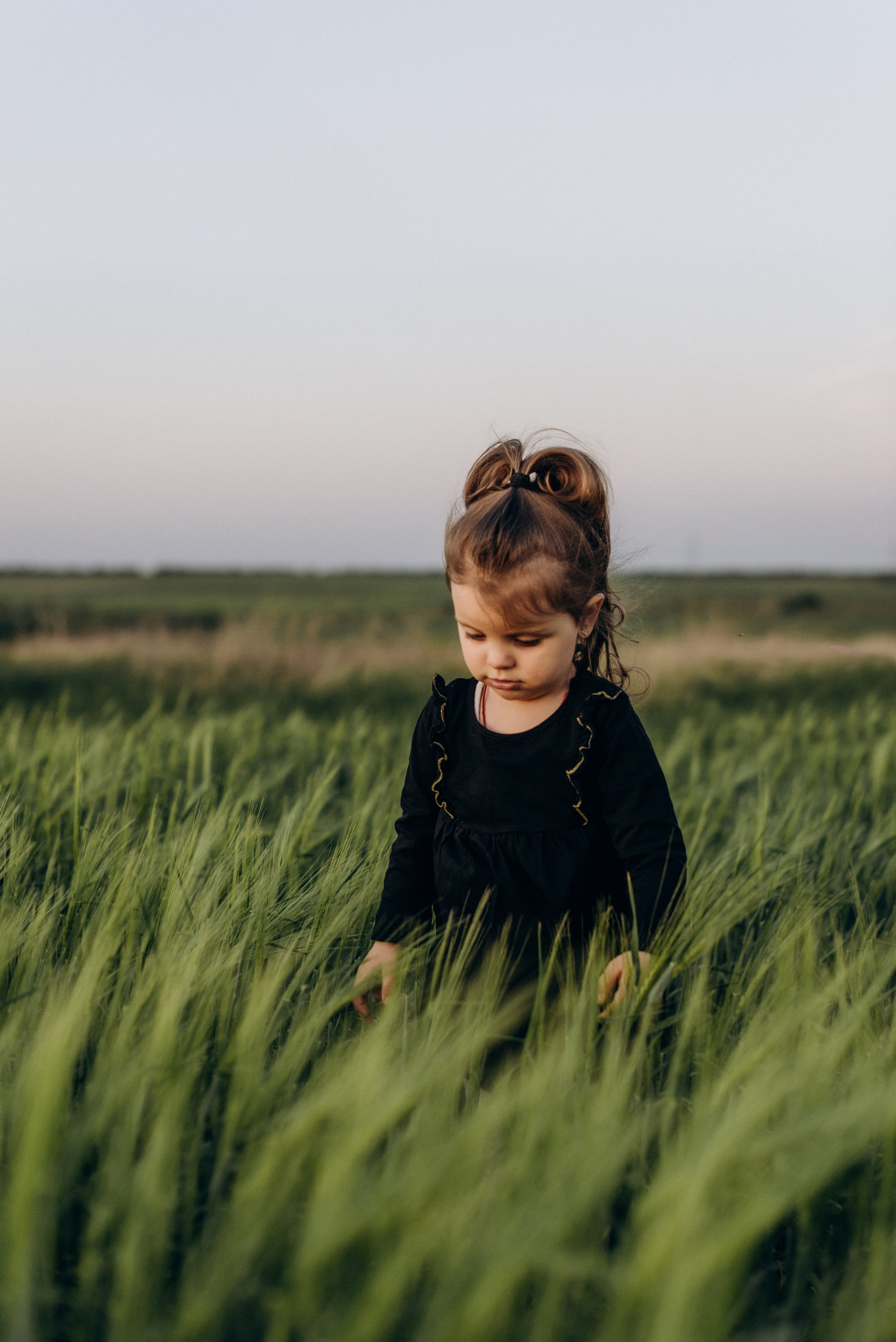 *. Wedding and family photographer San Diego