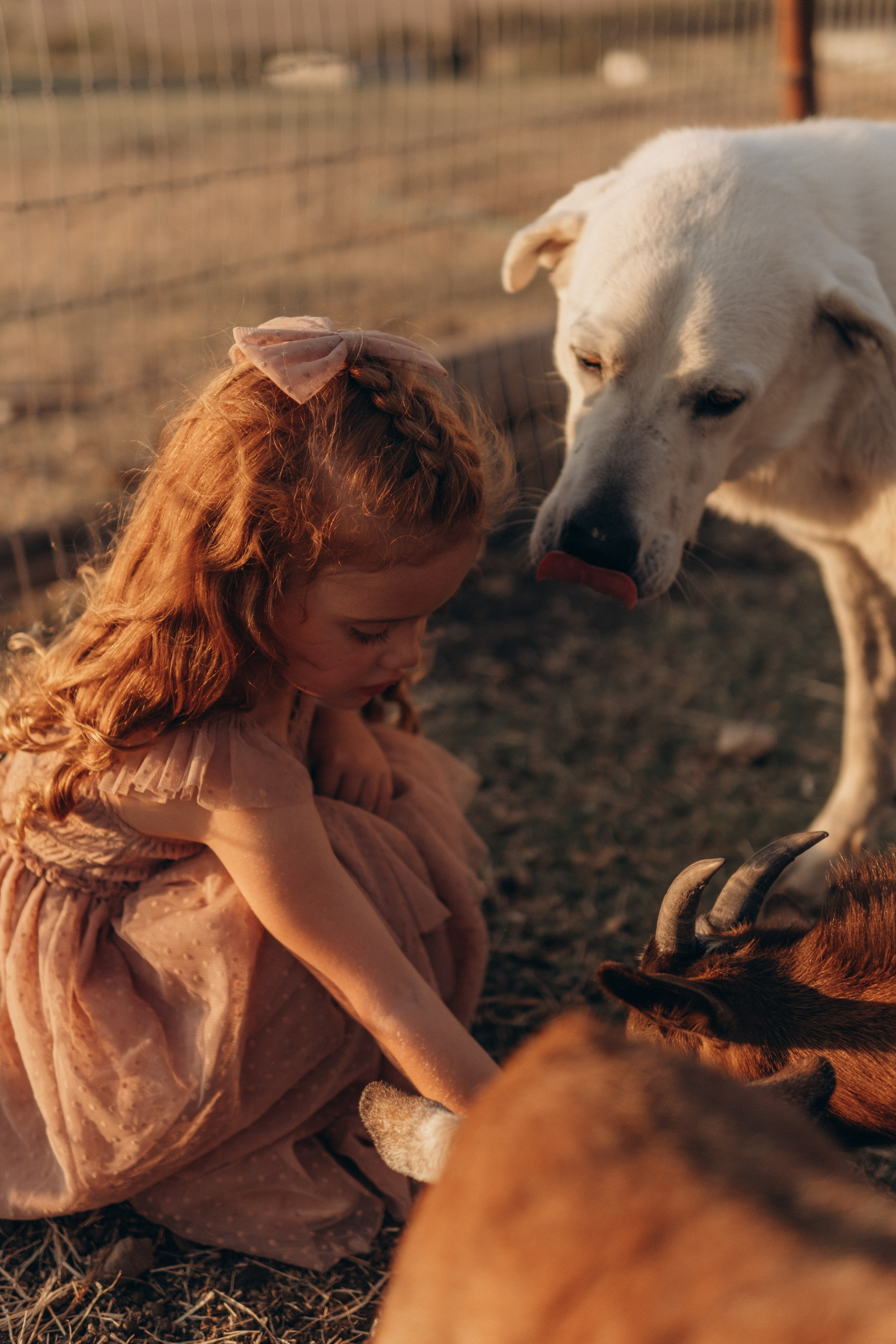 Little Princess. Lens Captures Life