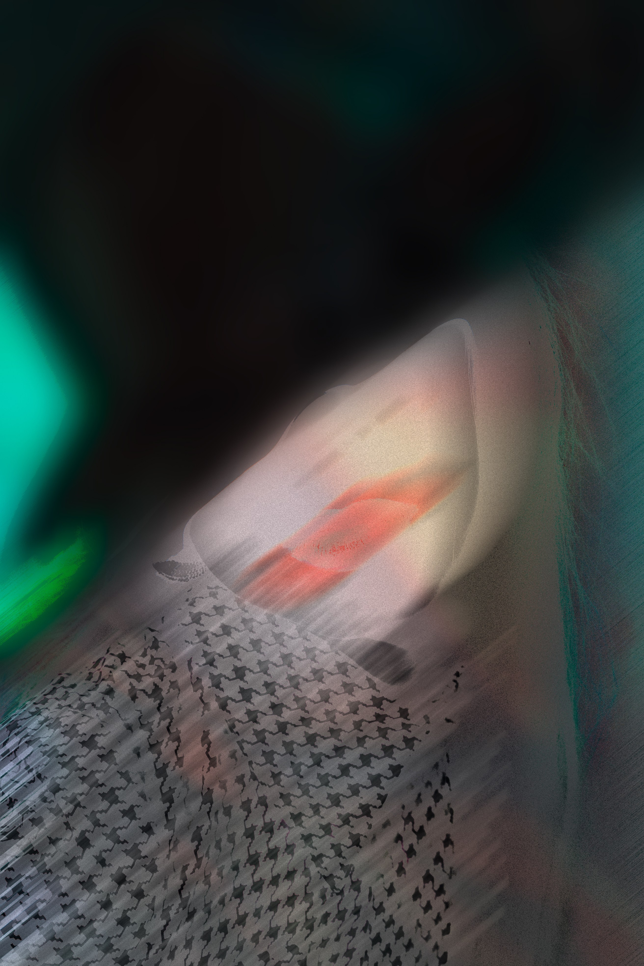 SAKO PROJECT. Anna Miyauchi