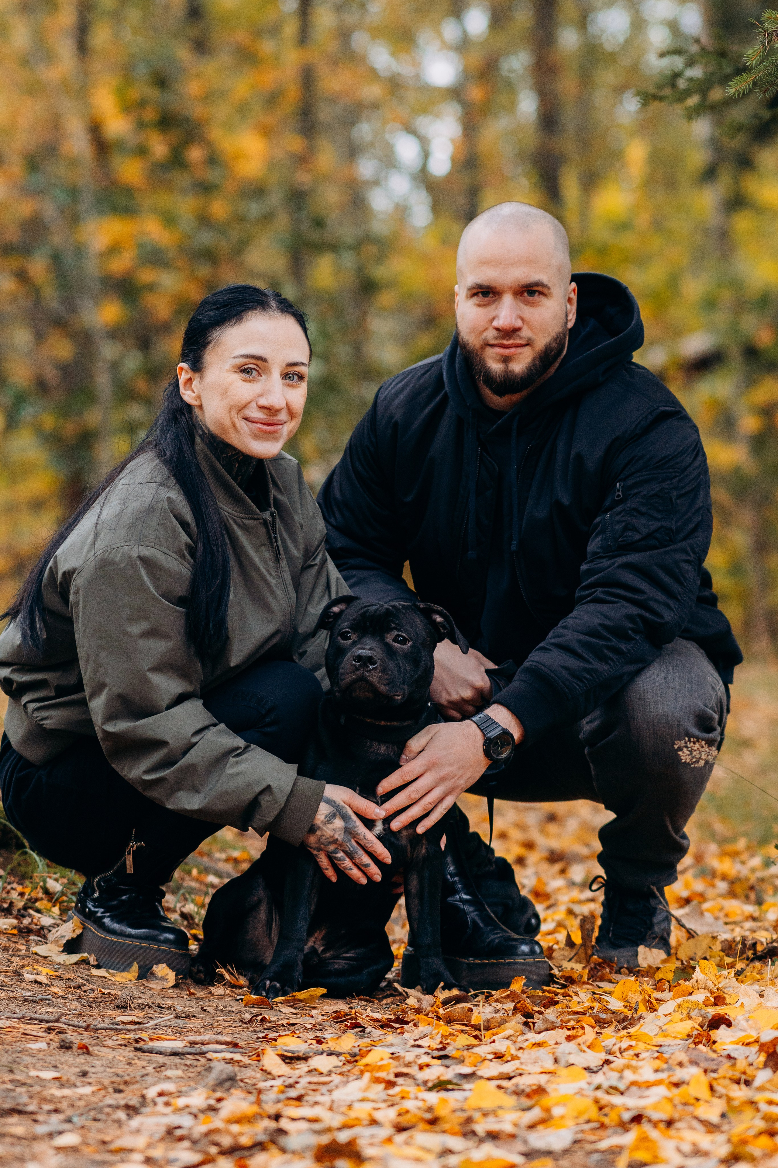 Staffordshire Bull Terriers Meetup. Kat Laisaar — Pet photographer in Tallinn