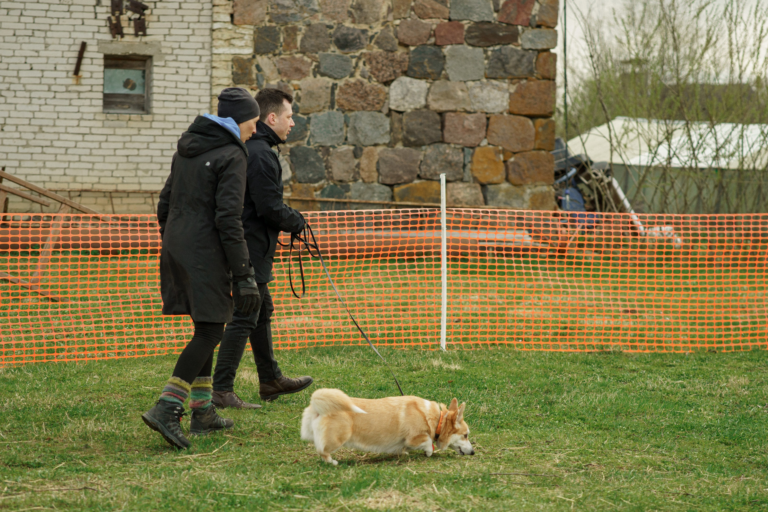 Herding Days, 26 apr. 2025. Kat Laisaar — Pet photographer in Tallinn