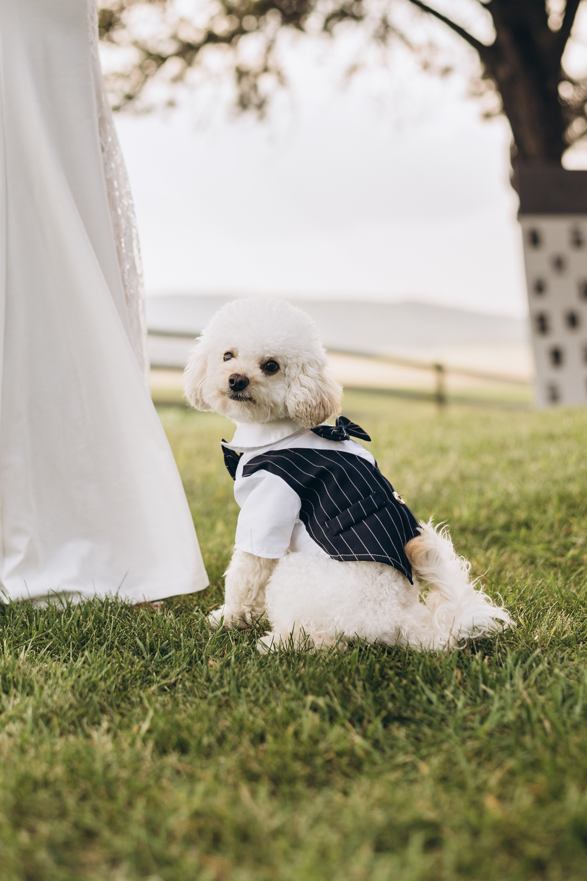 Weronica & Tomasz. Calgary Wedding & Lifestyle Photographer — Yevhen Polishchuk
