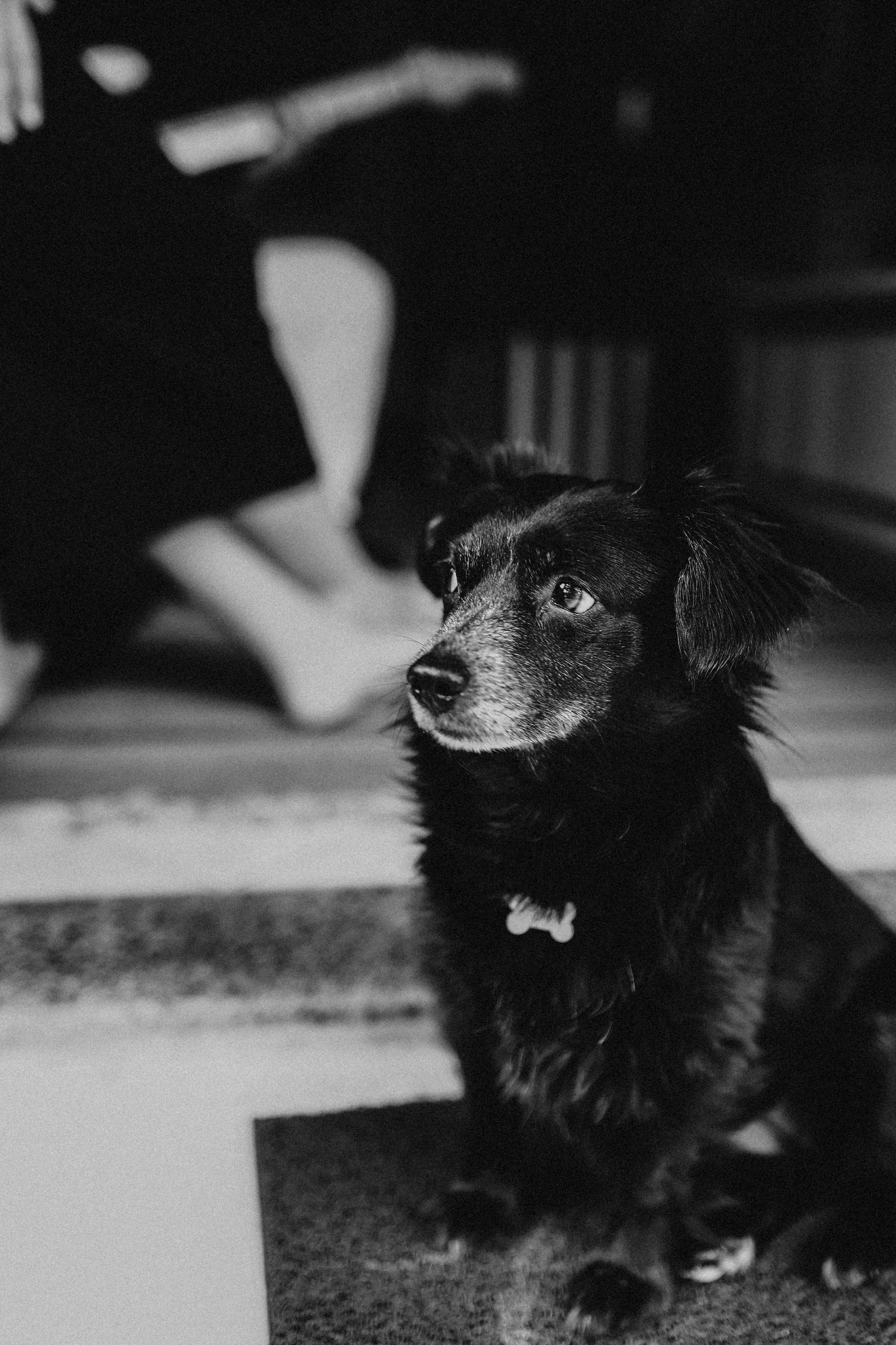 A espera do Akira. Fotografa de família e crianças em Florianópolis SC Daria Ermolaev