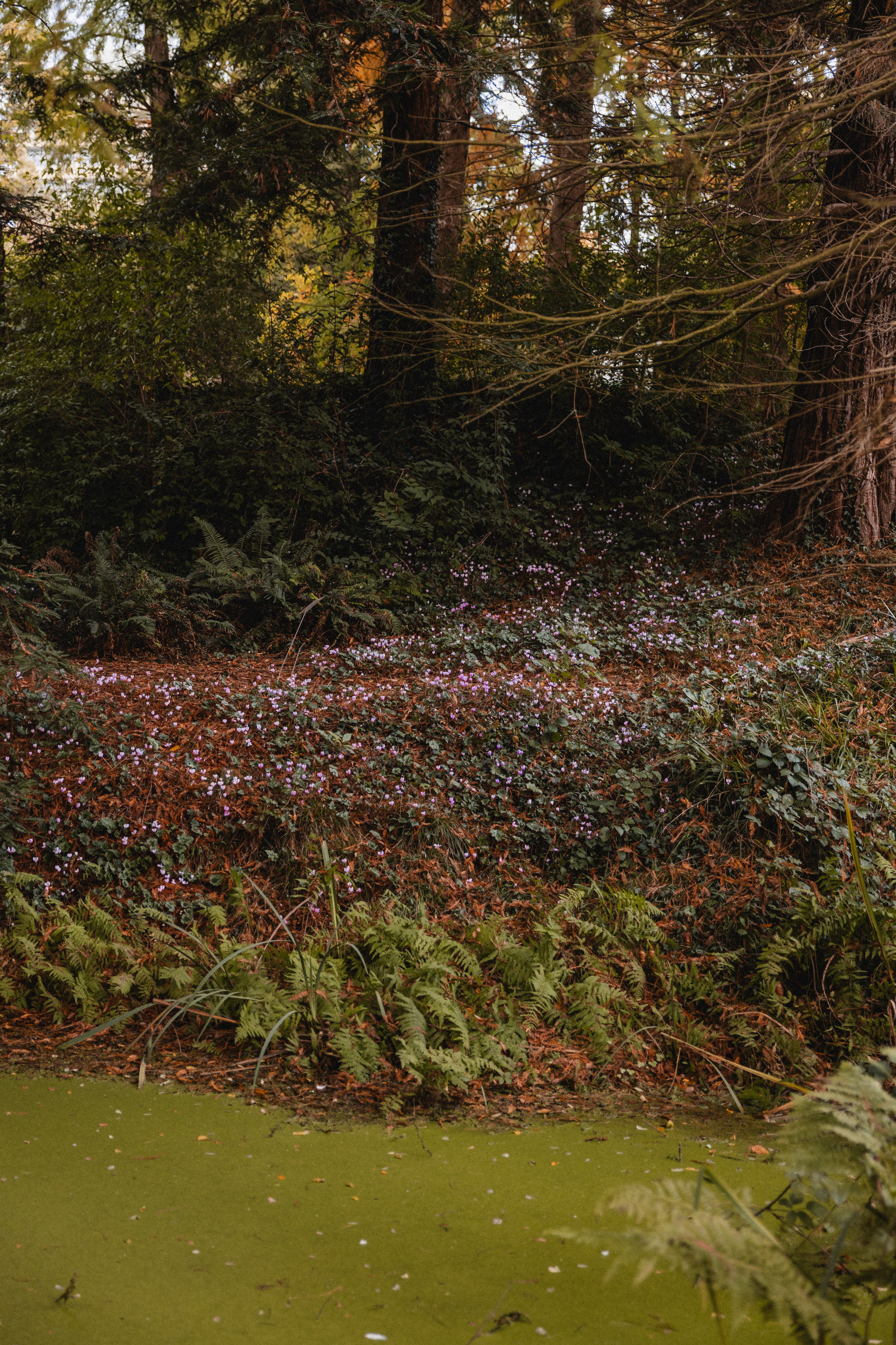 Volodymir & Olha | Rathaus Herne. Hochzeitsfotografie |Hochzeitsfotograf Bochum | Hochzeitsfotograf Dortmund | Hochzeitsfotograf Essen | Hochzeitsfotograf Ruhrgebiet