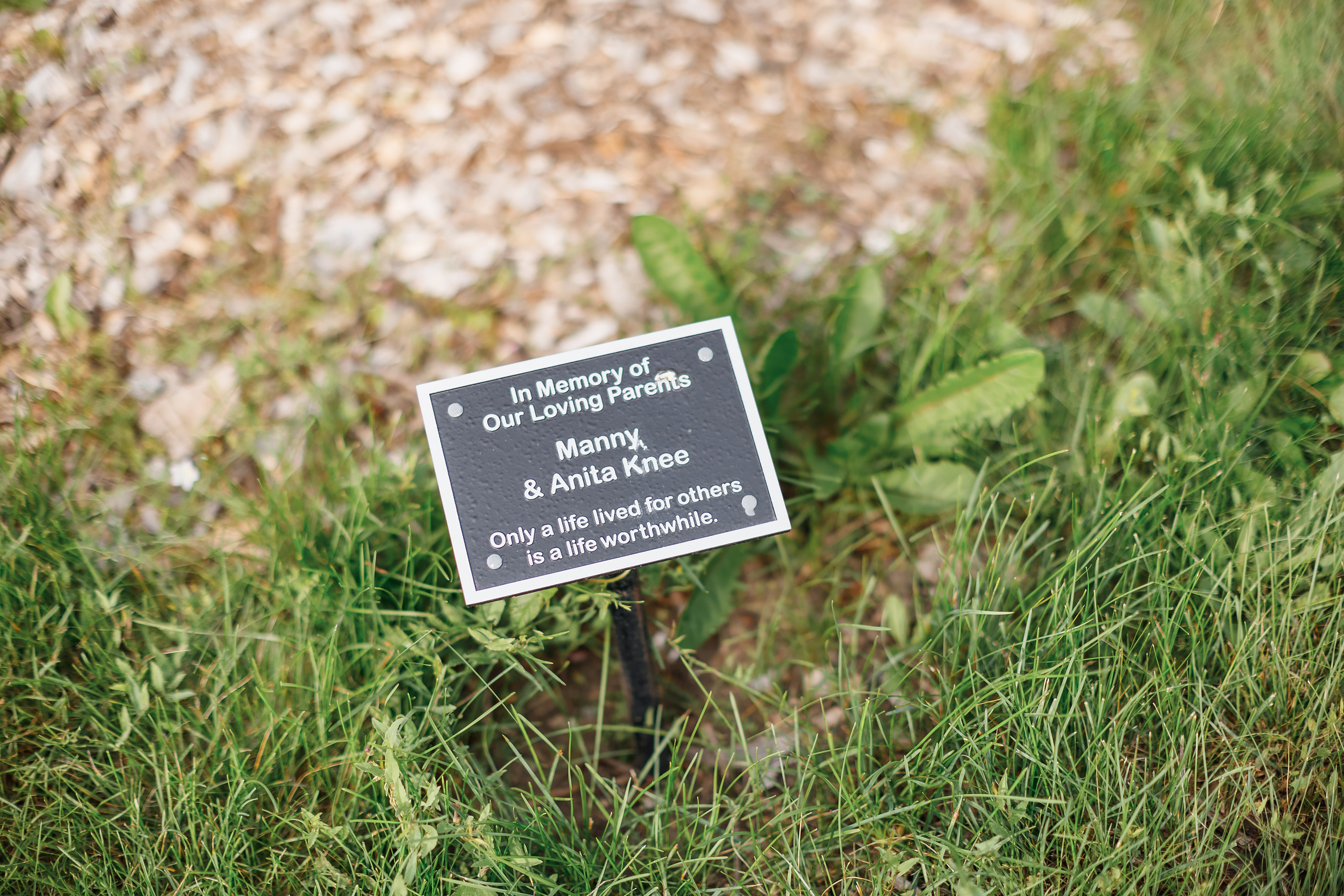 07.11.2021 Family photoshoot. Wedding family event photographer in Chicago Nick Yushevich