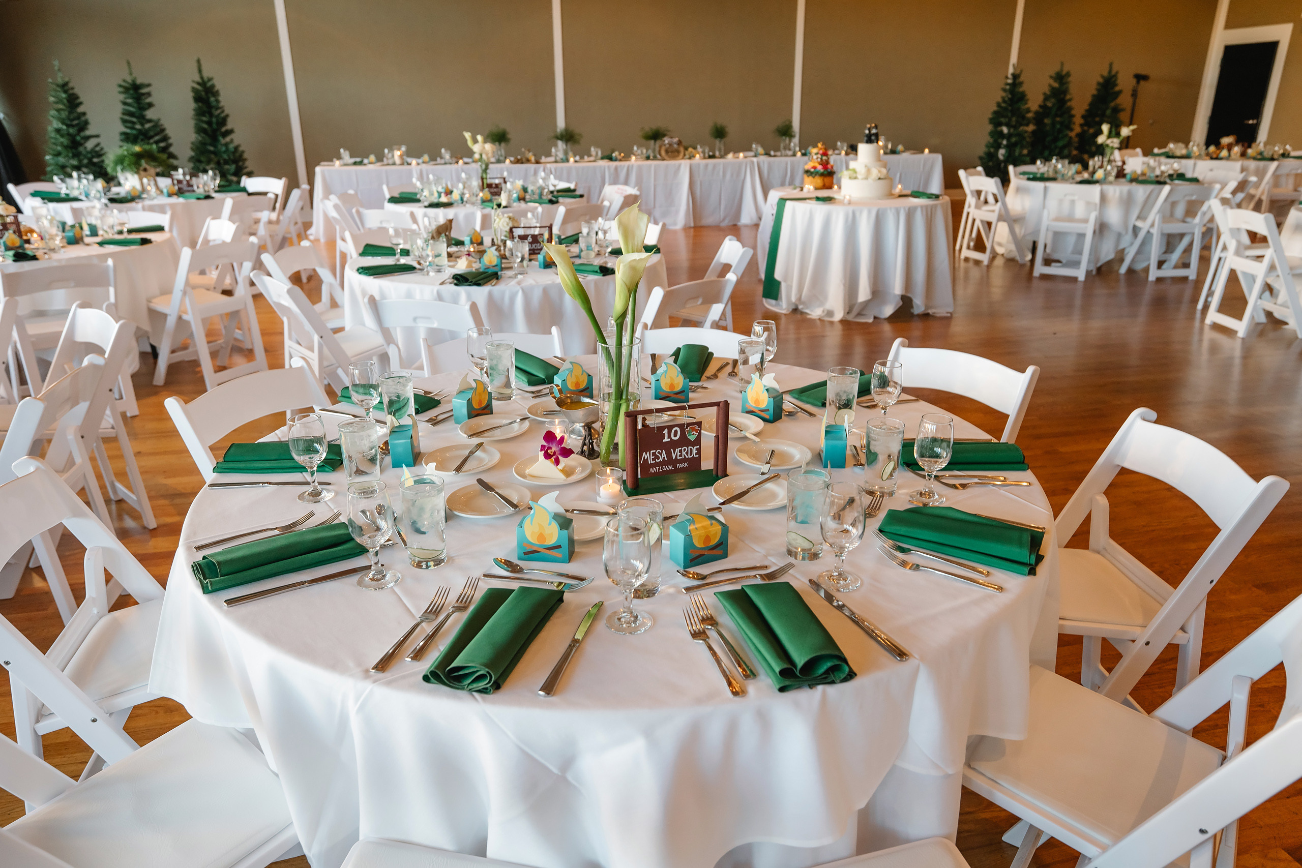 05.29.2021 Wedding. Wedding family event photographer in Chicago Nick Yushevich