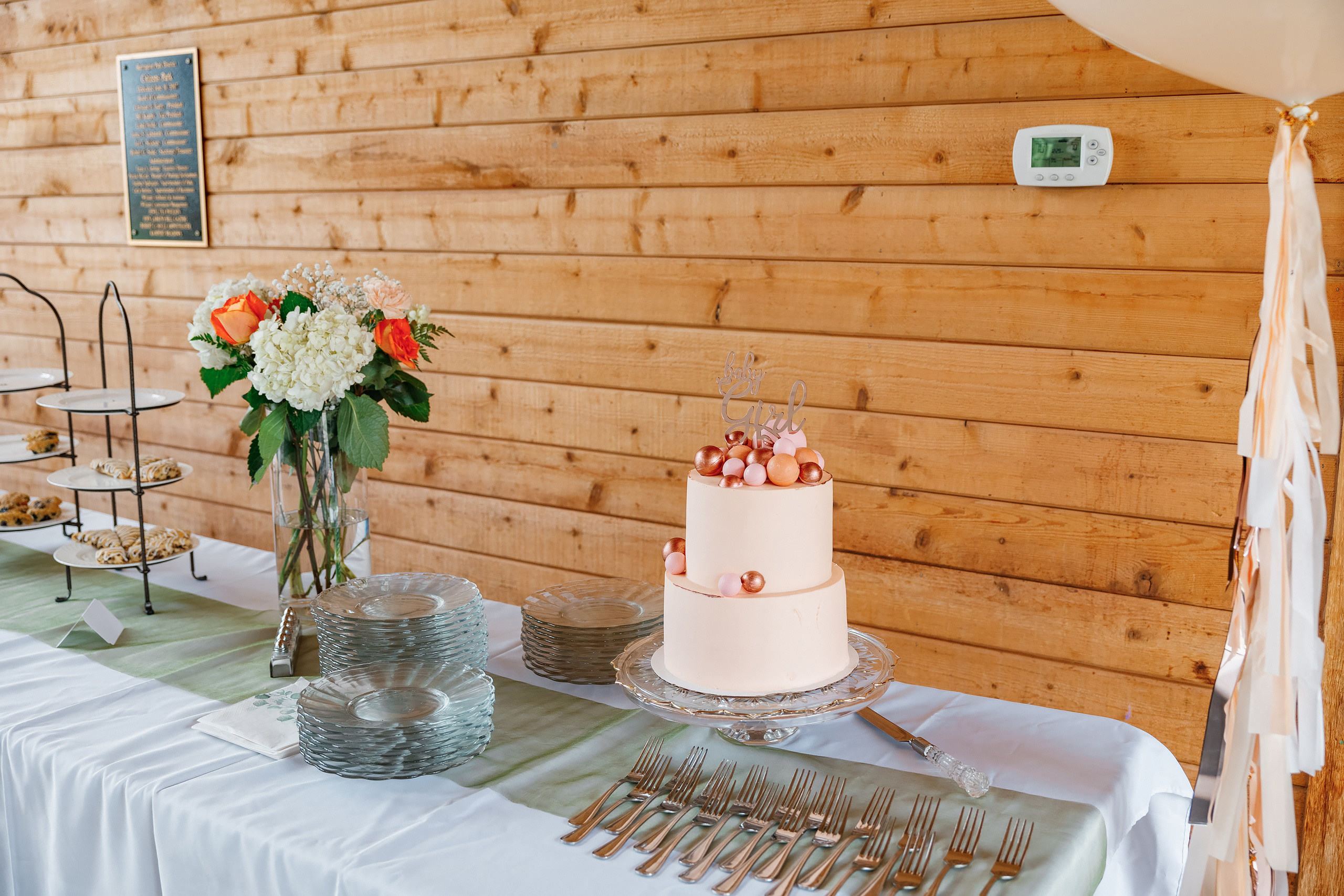 07.11.2021 Baby shower. Wedding family event photographer in Chicago Nick Yushevich