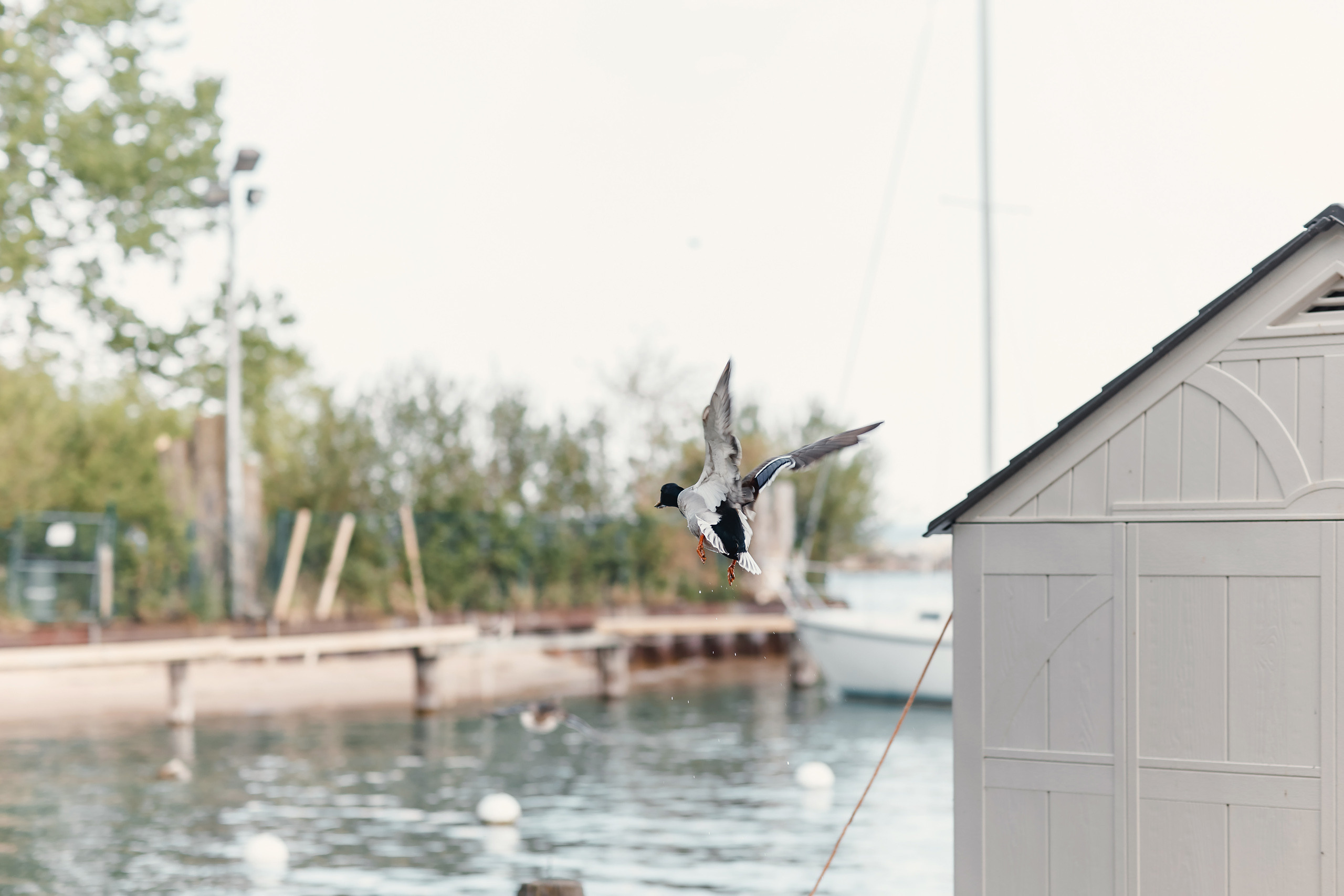 05.22.2021 Family photoshoot. Wedding family event photographer in Chicago Nick Yushevich