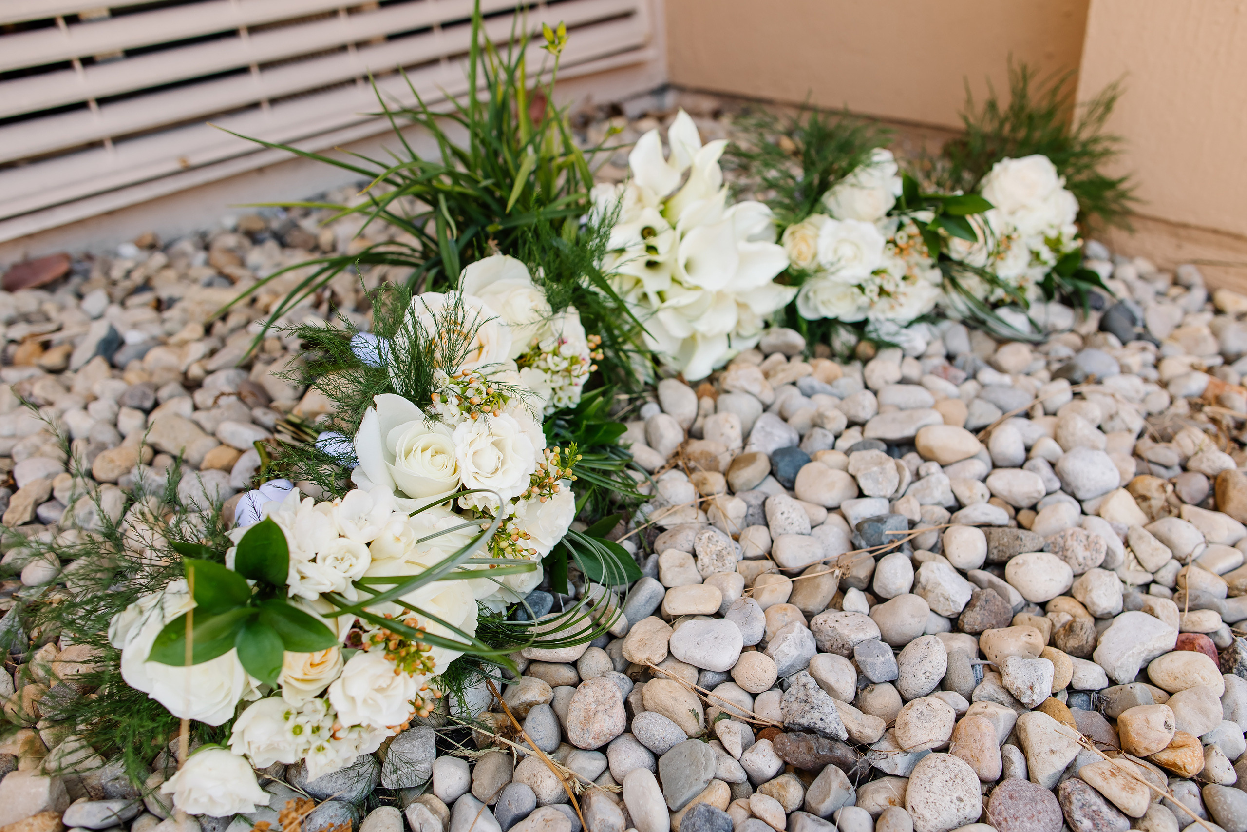 05.29.2021 Wedding. Wedding family event photographer in Chicago Nick Yushevich