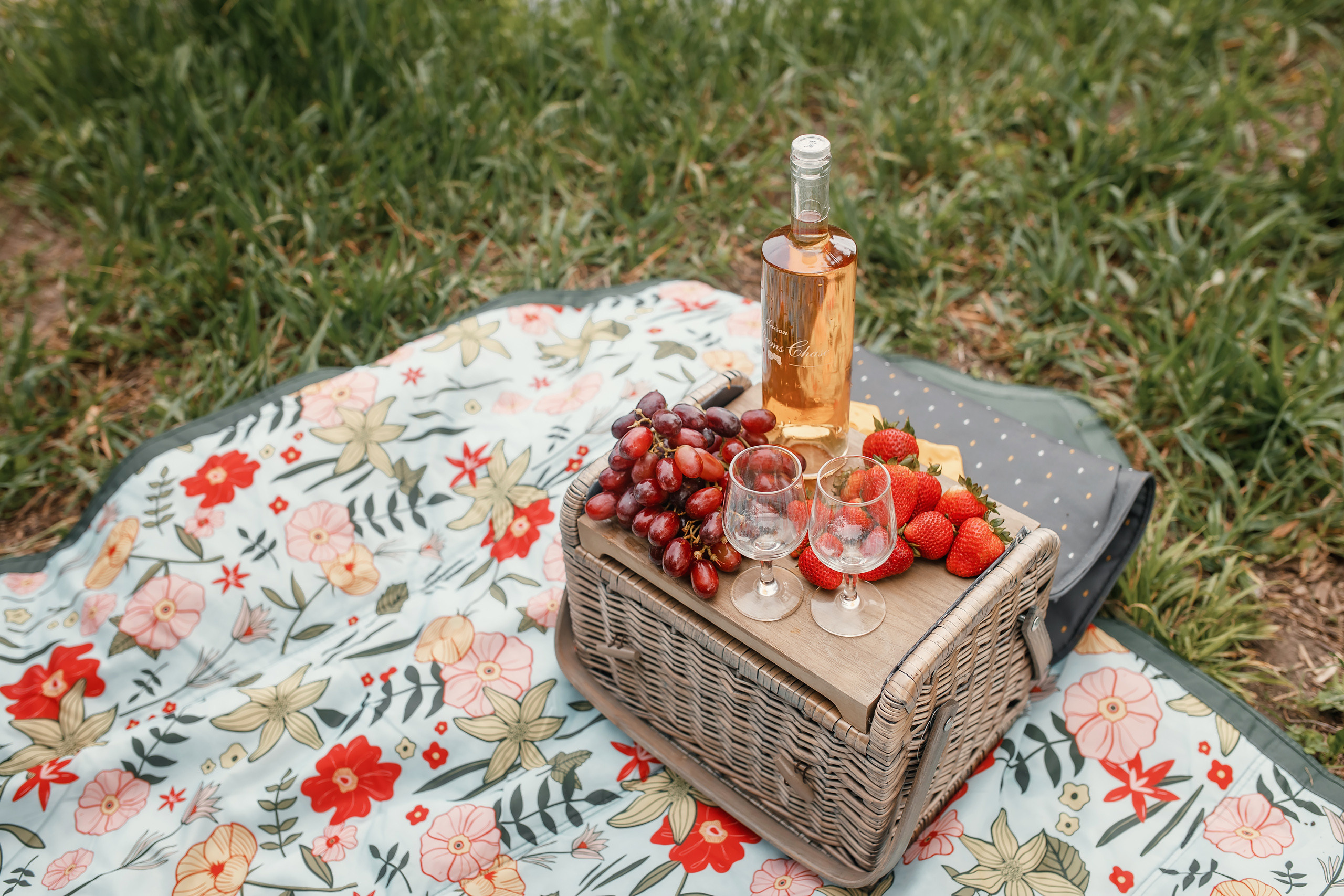 05.23.2021 Family photoshoot. Wedding family event photographer in Chicago Nick Yushevich