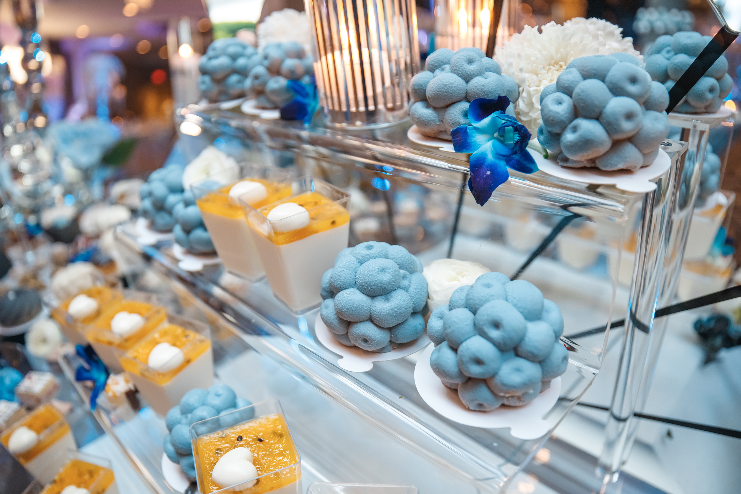 05.22.2021 Zoreslava’s Birthday Party. Wedding family event photographer in Chicago Nick Yushevich