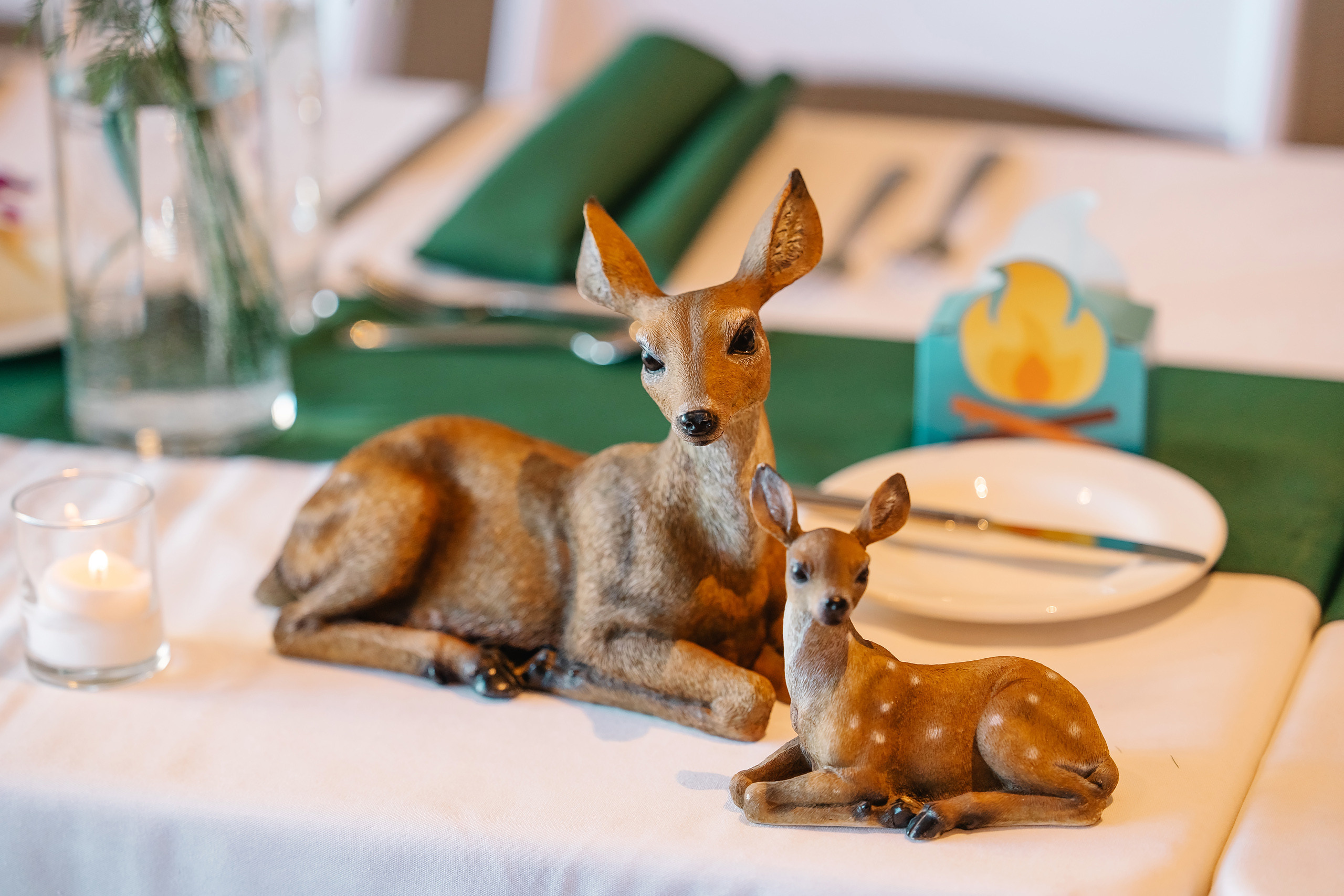 05.29.2021 Wedding. Wedding family event photographer in Chicago Nick Yushevich