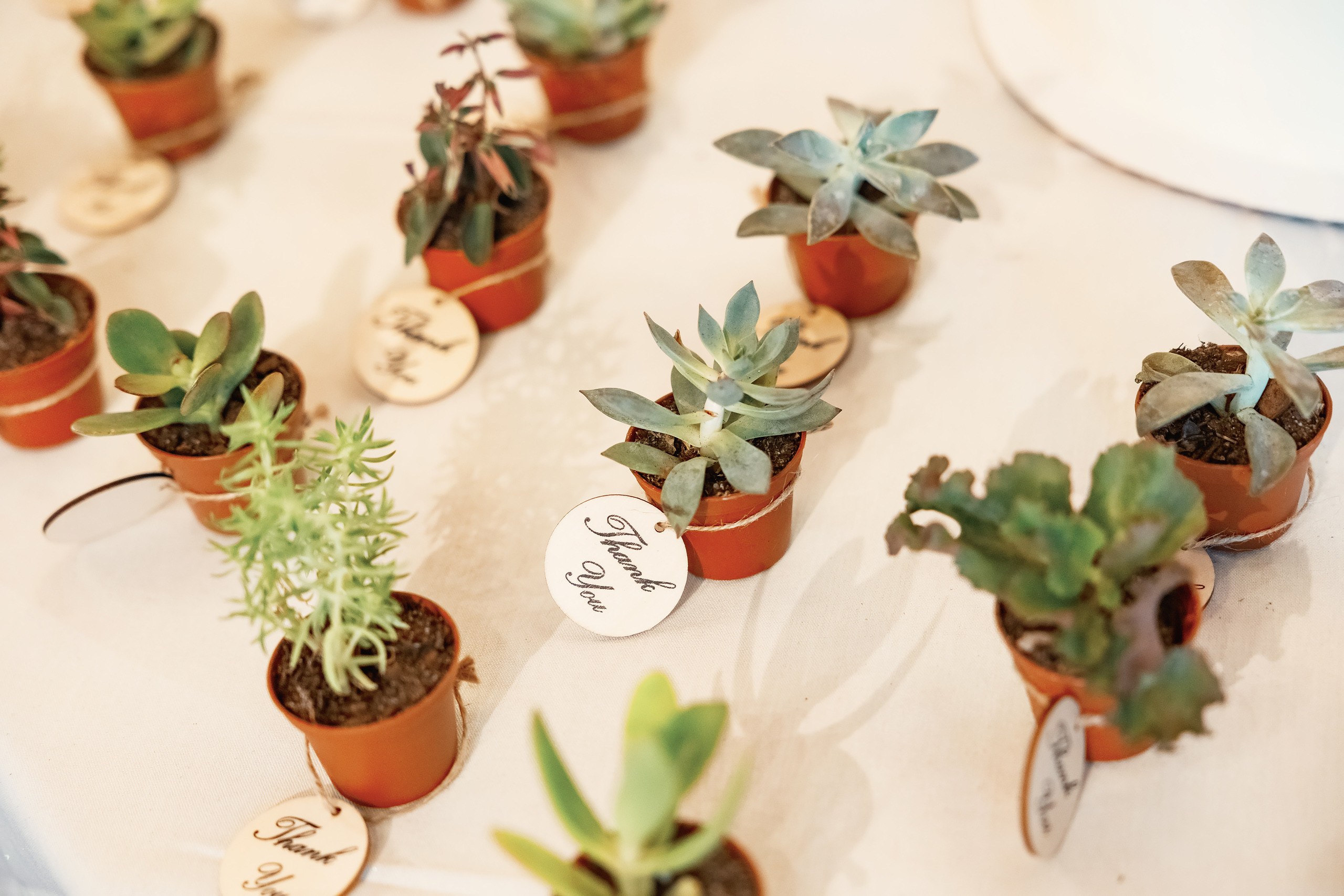 06.26.2021 Anniversary. Wedding family event photographer in Chicago Nick Yushevich