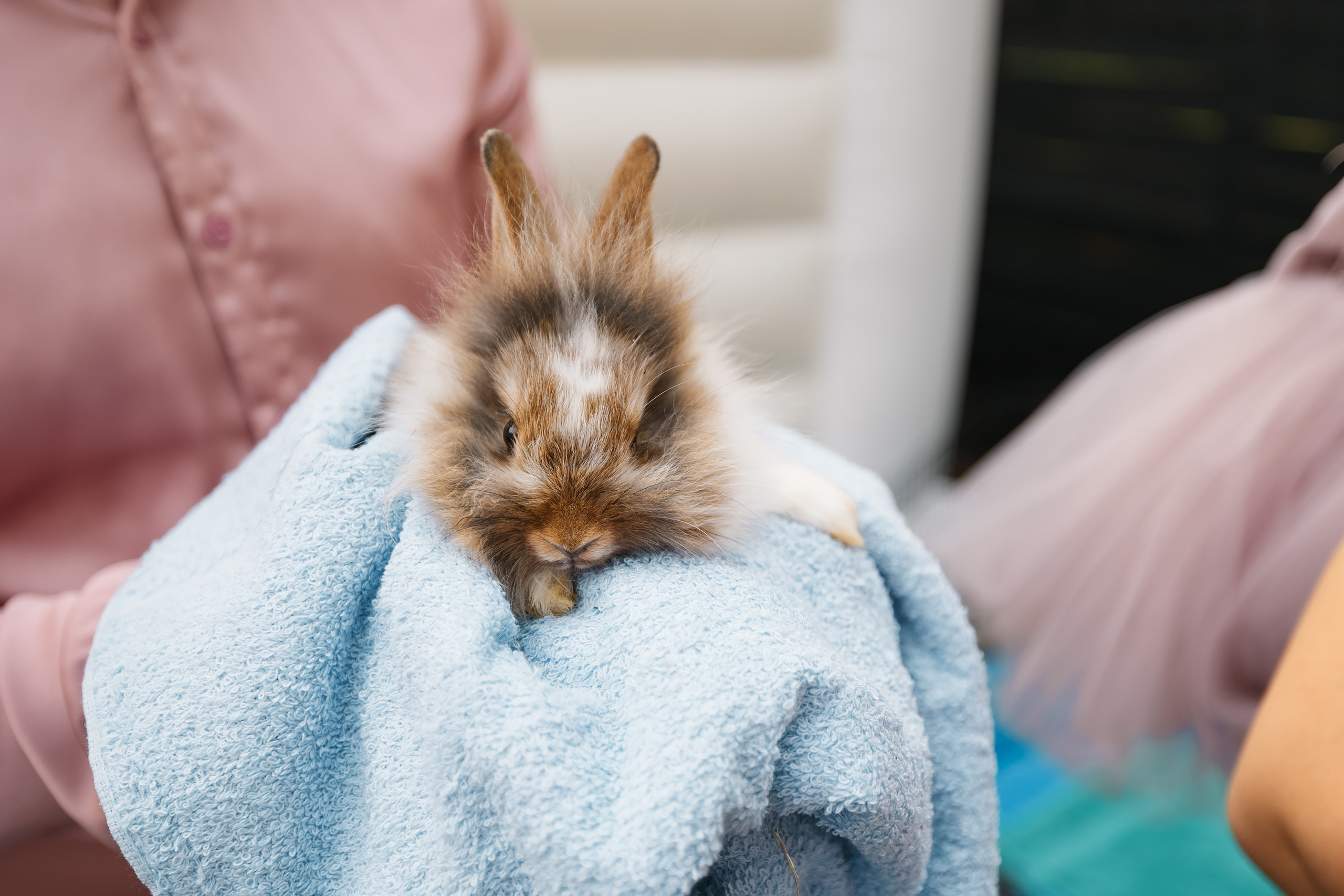 07.25.2021 First birthday. Wedding family event photographer in Chicago Nick Yushevich