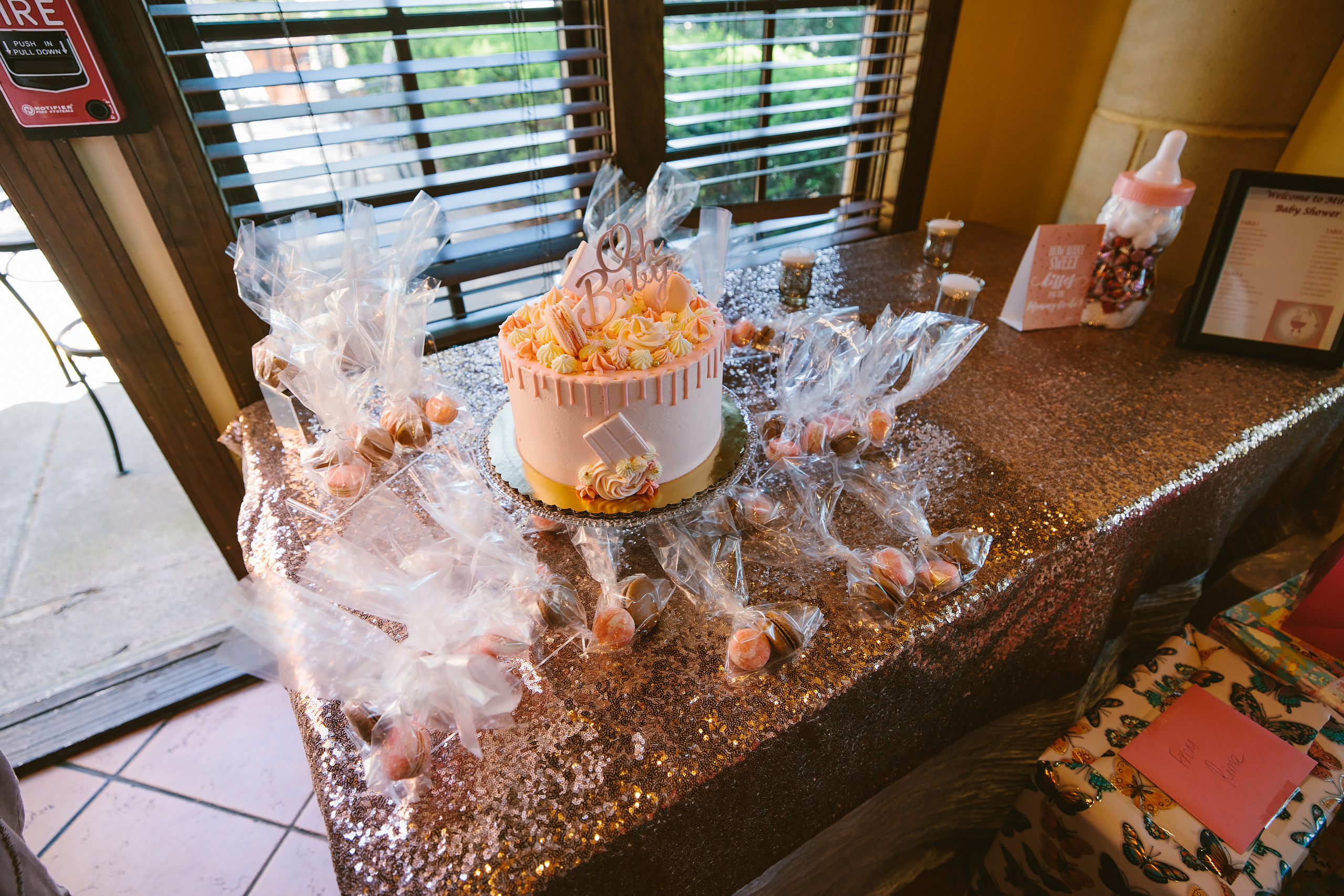 05.30.2021 Baby shower. Wedding family event photographer in Chicago Nick Yushevich