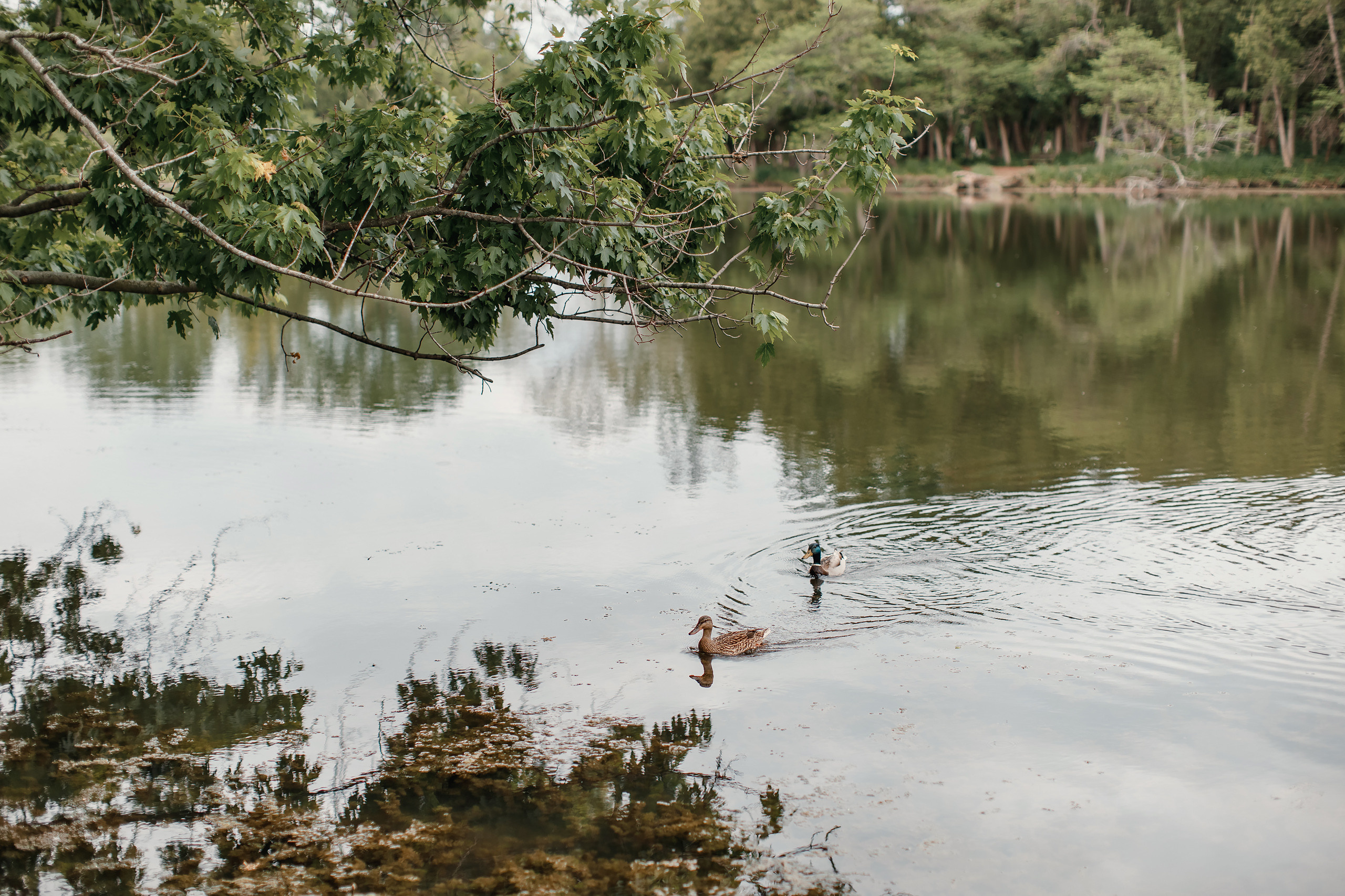 05.23.2021 Family photoshoot. Wedding family event photographer in Chicago Nick Yushevich