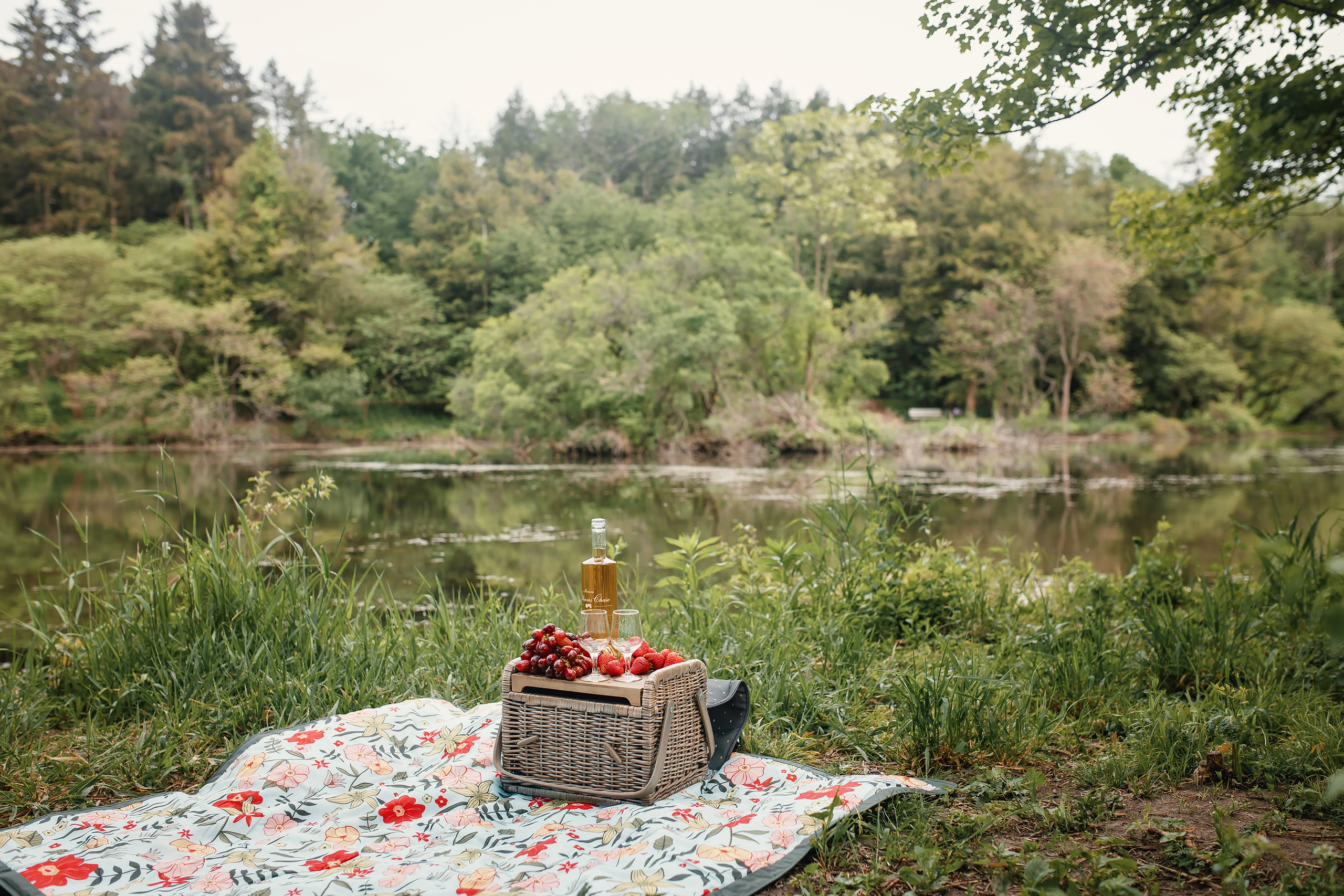 05.23.2021 Family photoshoot. Wedding family event photographer in Chicago Nick Yushevich