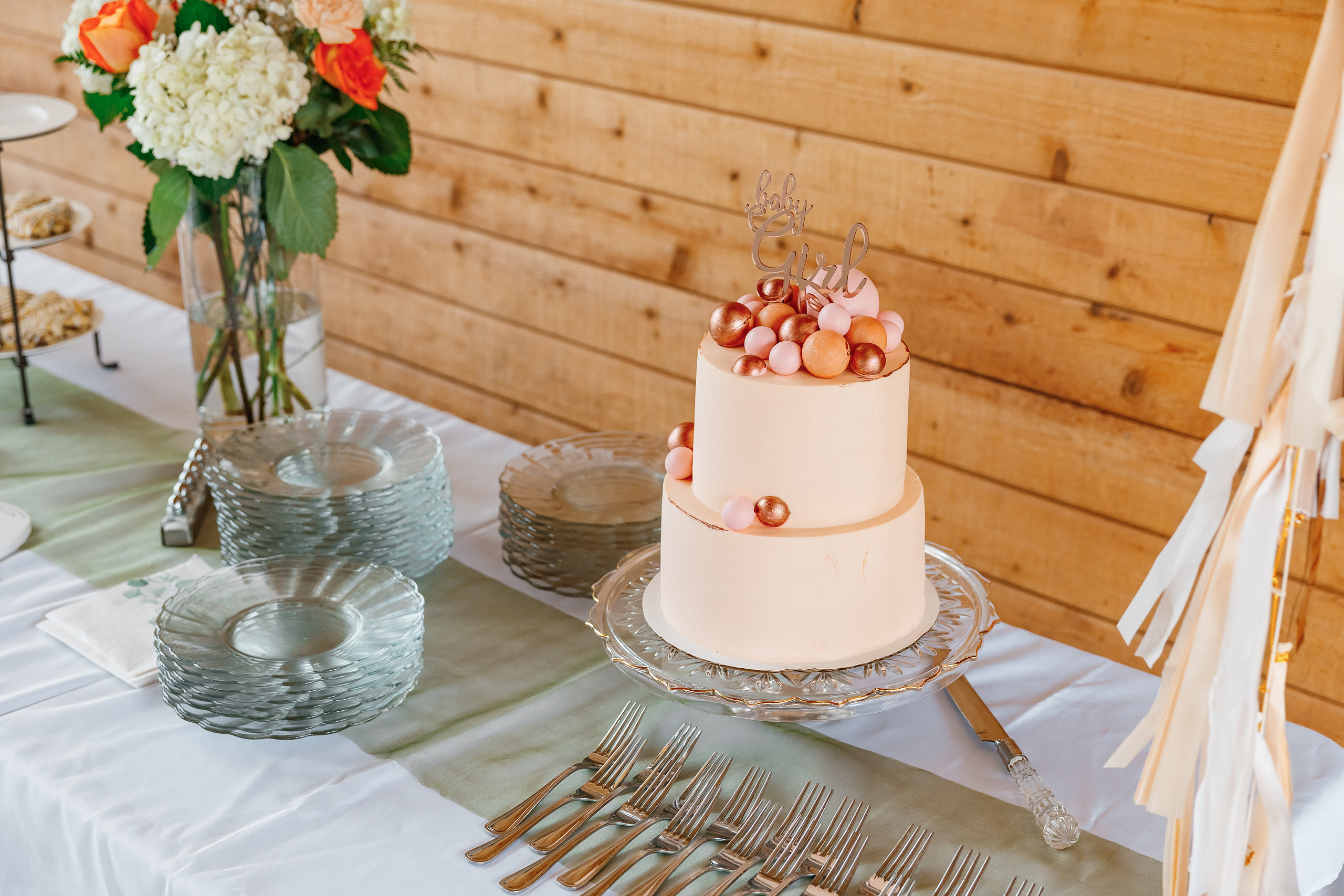 07.11.2021 Baby shower. Wedding family event photographer in Chicago Nick Yushevich