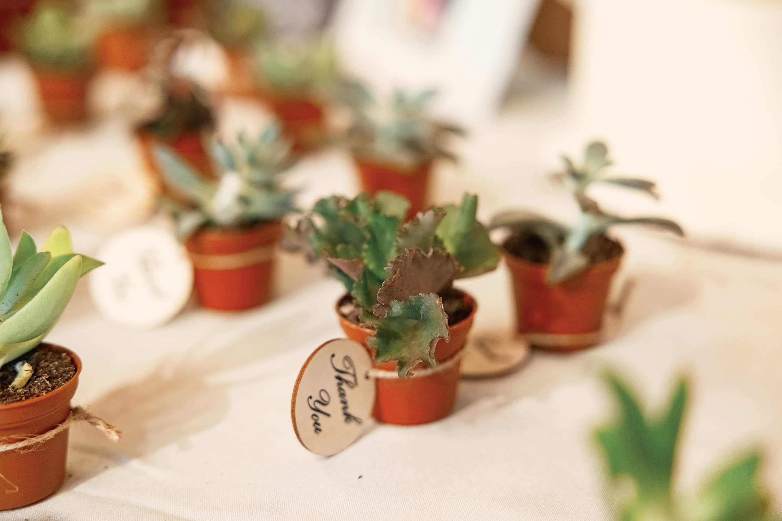 06.26.2021 Anniversary. Wedding family event photographer in Chicago Nick Yushevich