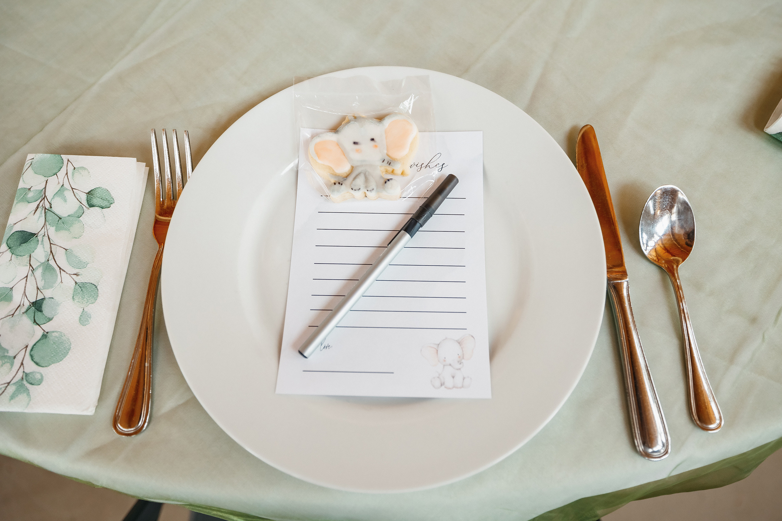 07.11.2021 Baby shower. Wedding family event photographer in Chicago Nick Yushevich