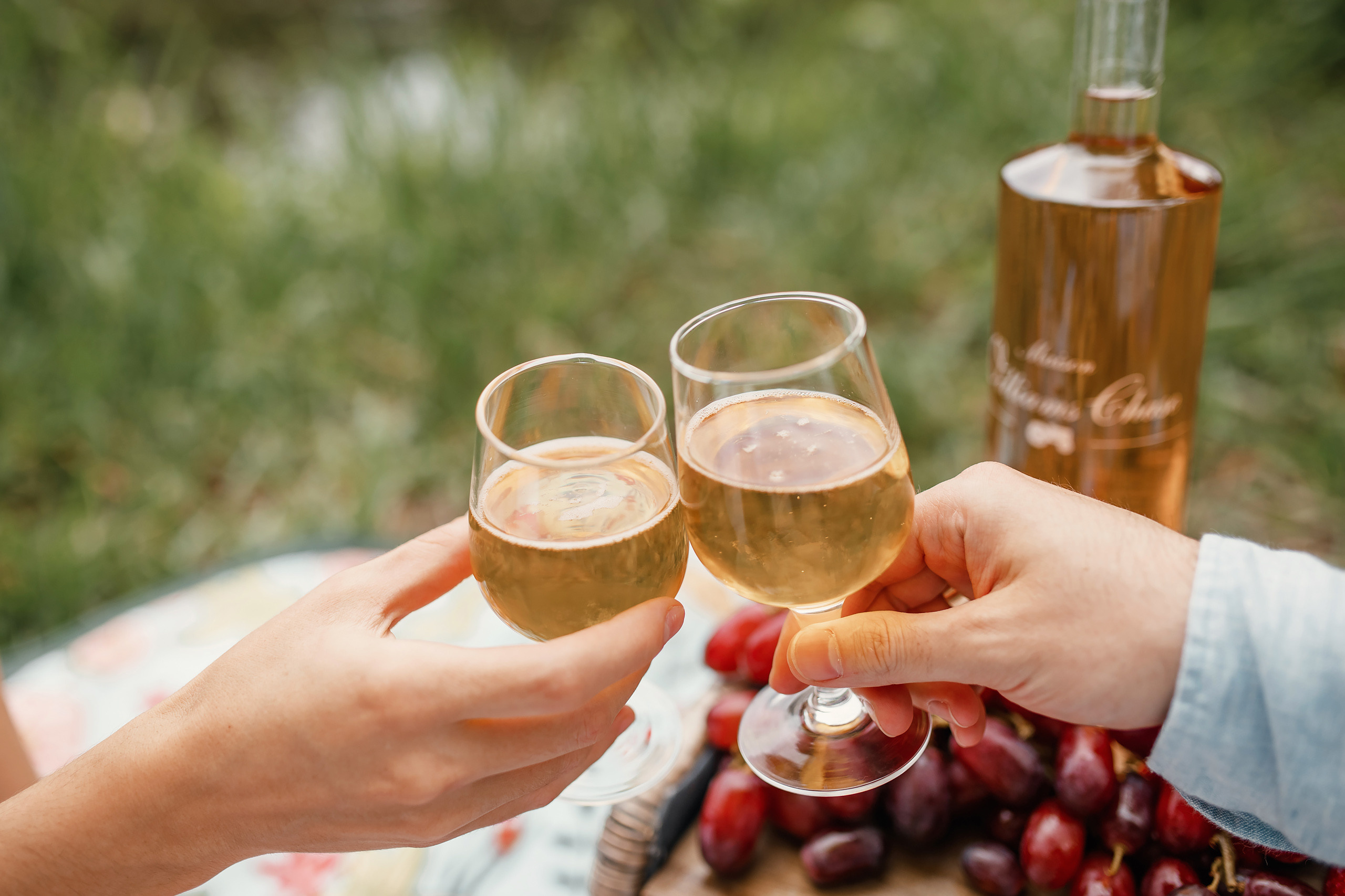 05.23.2021 Family photoshoot. Wedding family event photographer in Chicago Nick Yushevich