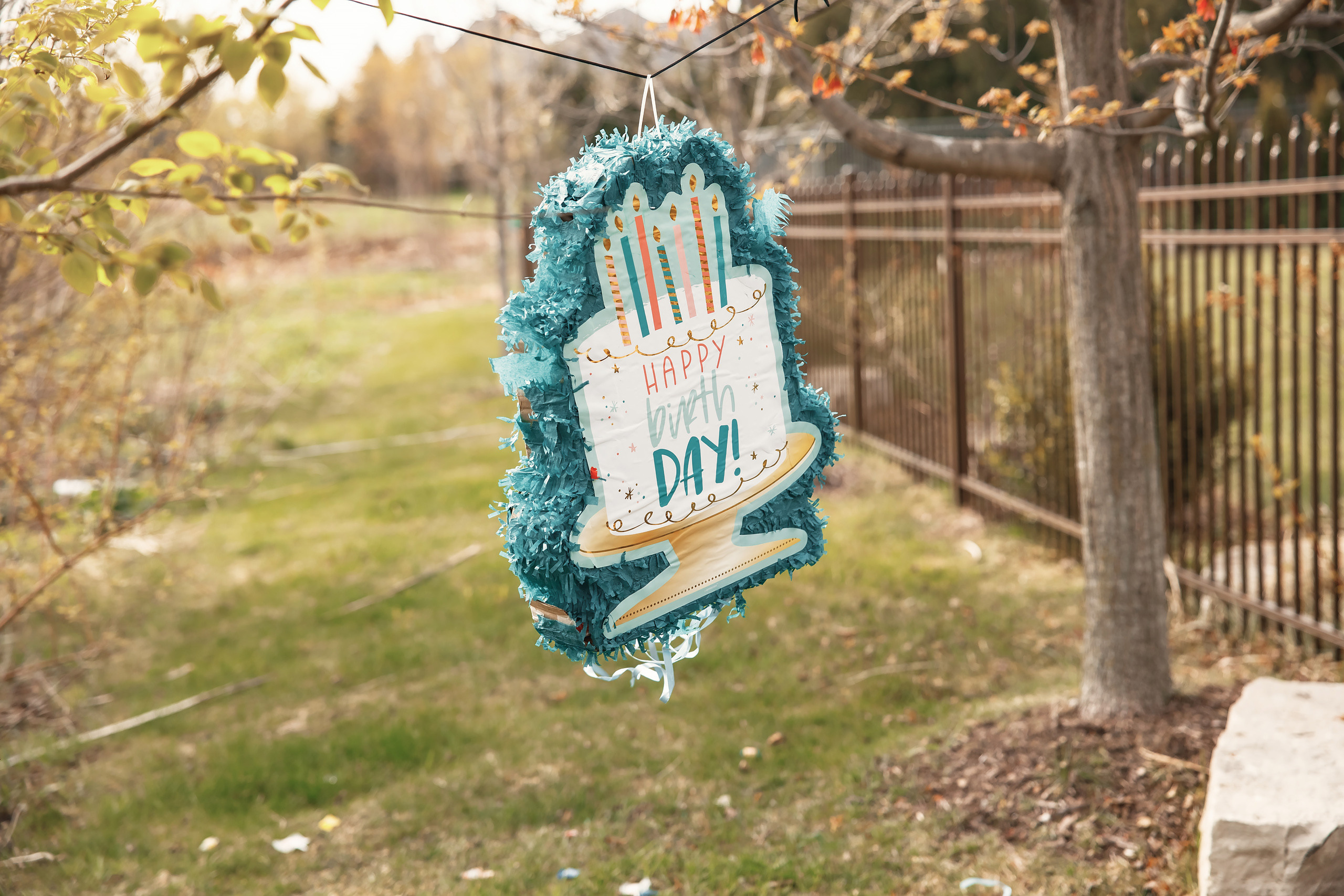 04.25.2021 Birthday. Wedding family event photographer in Chicago Nick Yushevich