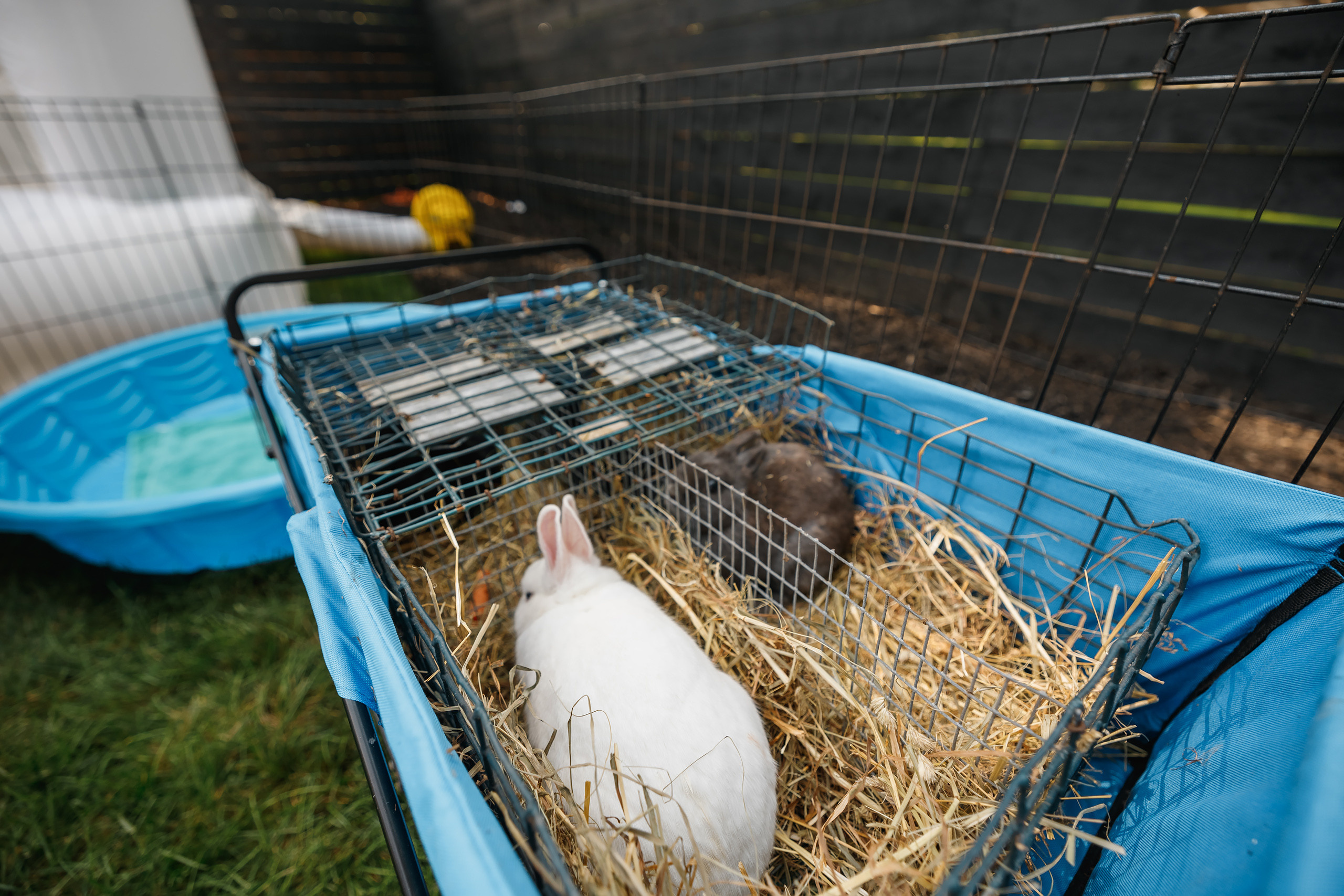 07.25.2021 First birthday. Wedding family event photographer in Chicago Nick Yushevich