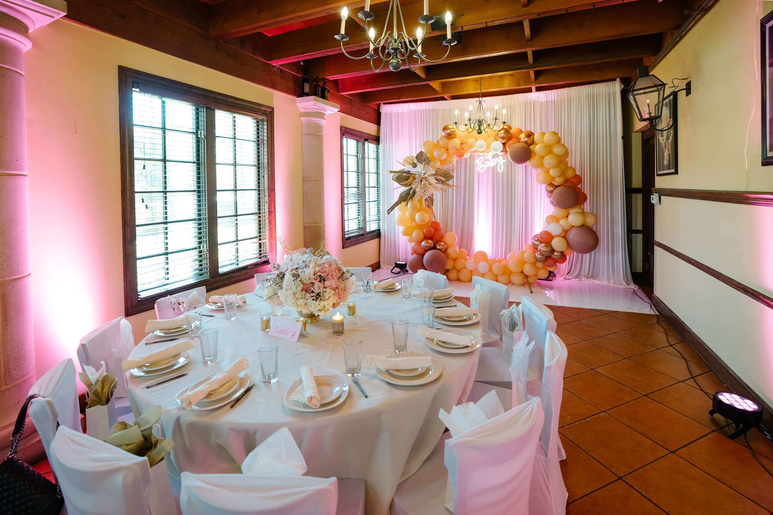 05.30.2021 Baby shower. Wedding family event photographer in Chicago Nick Yushevich