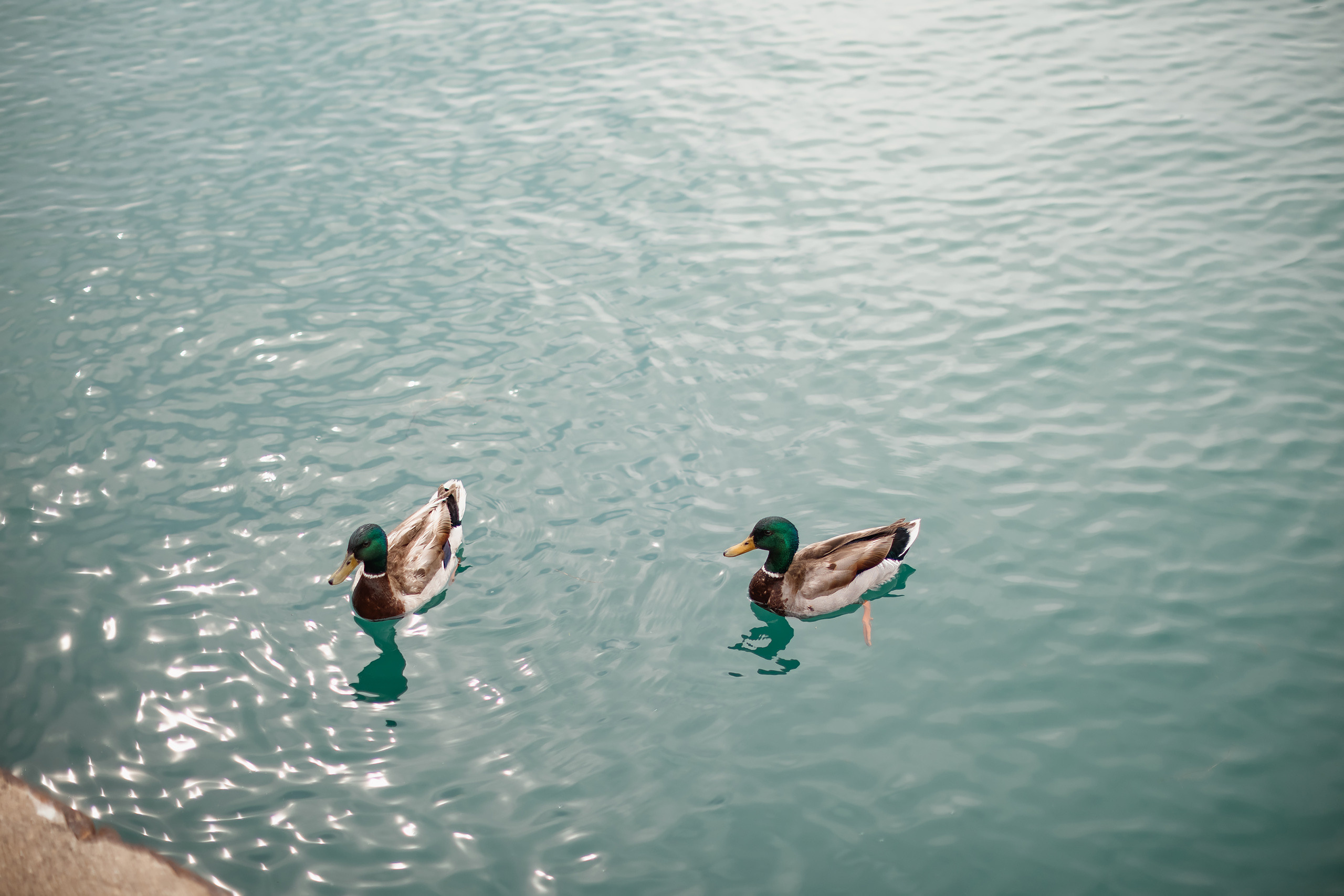 06.20.2021 Walk in Chicago. Wedding family event photographer in Chicago Nick Yushevich