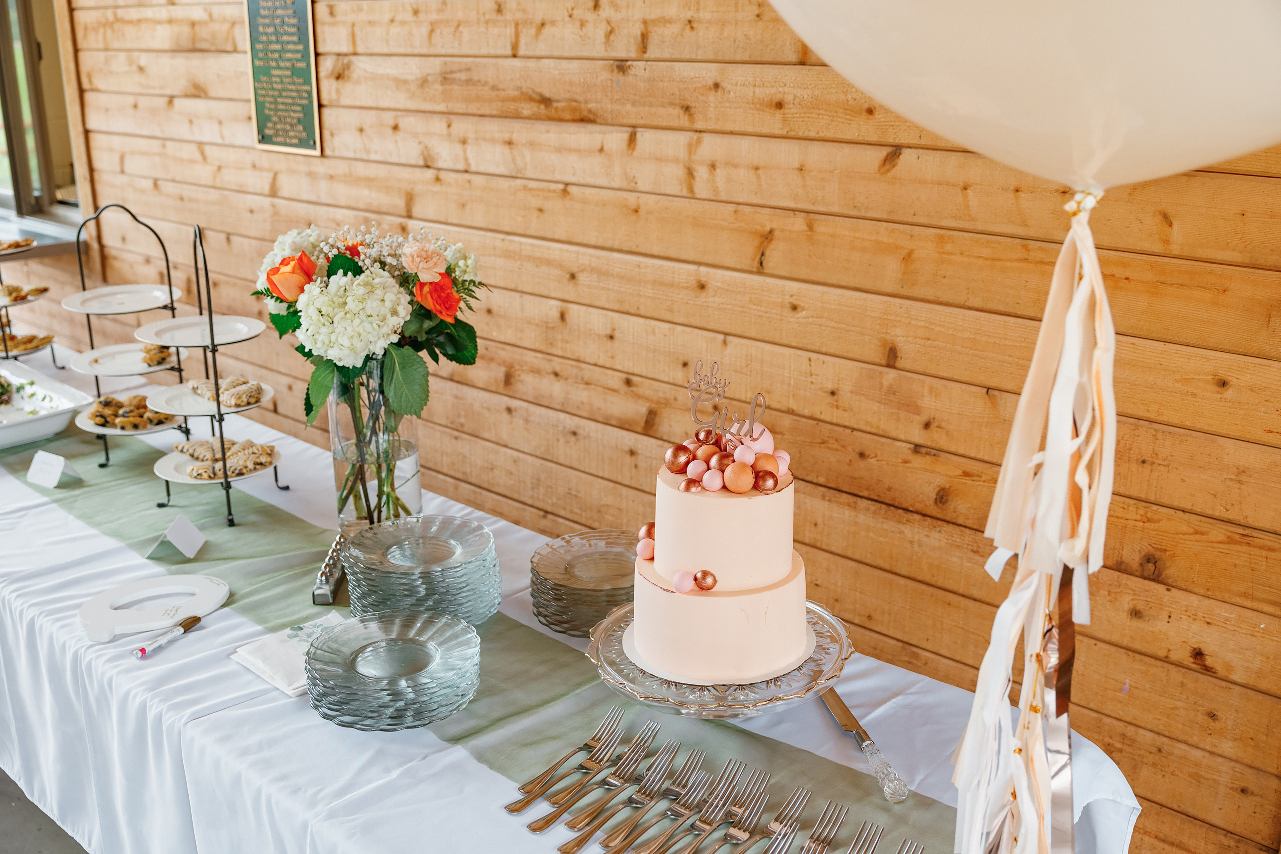 07.11.2021 Baby shower. Wedding family event photographer in Chicago Nick Yushevich