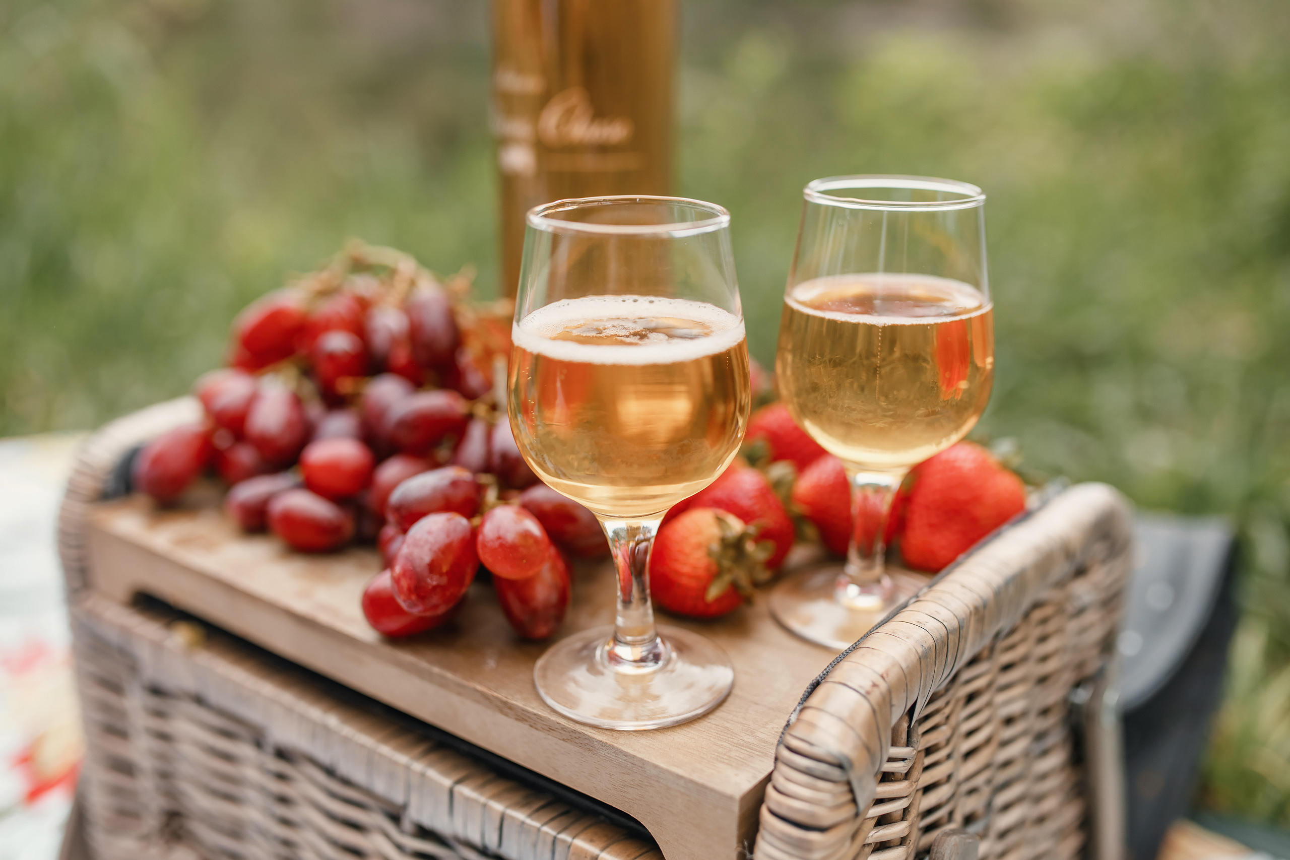 05.23.2021 Family photoshoot. Wedding family event photographer in Chicago Nick Yushevich