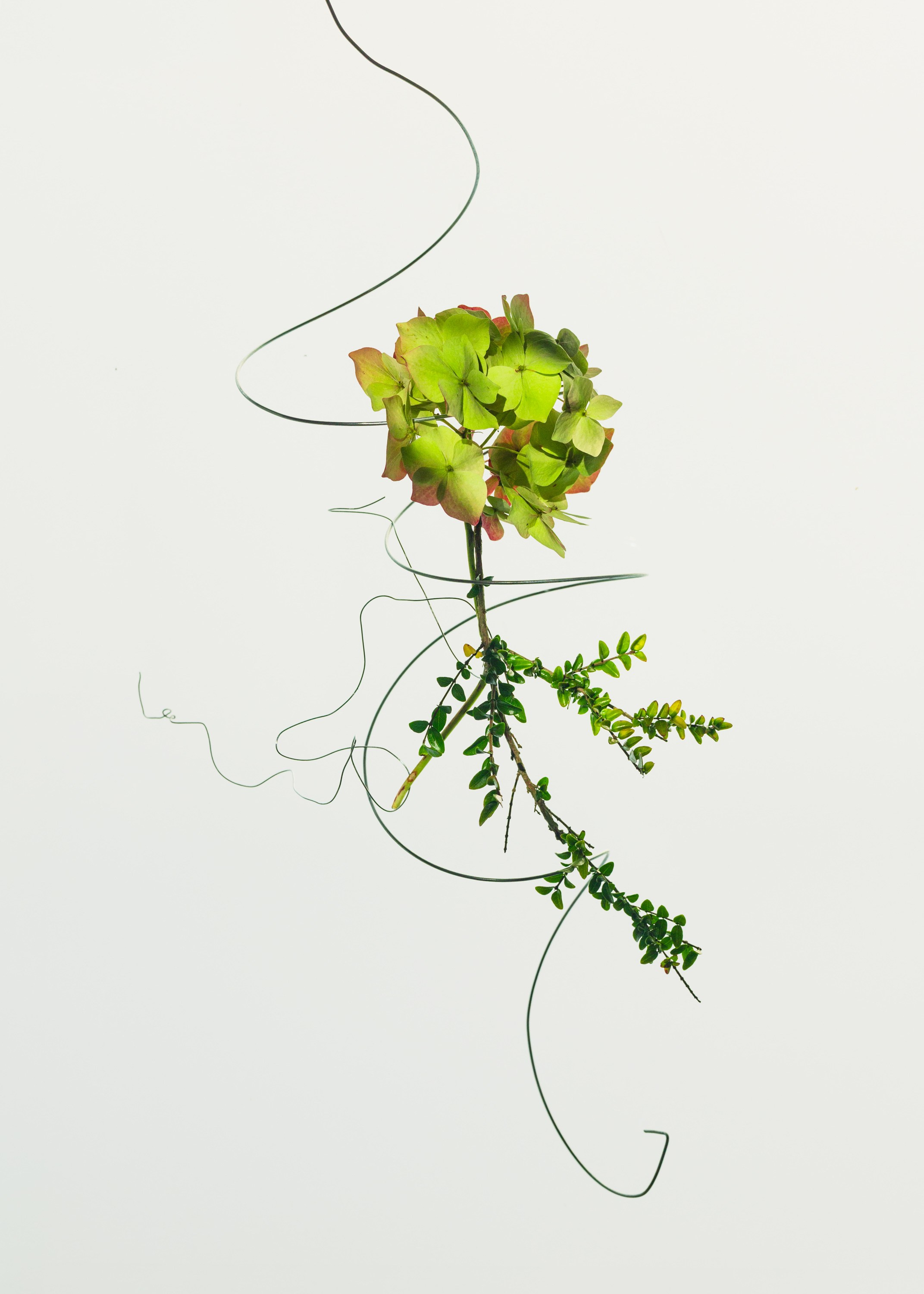 sony award creative Marina Tsaregorodtseva