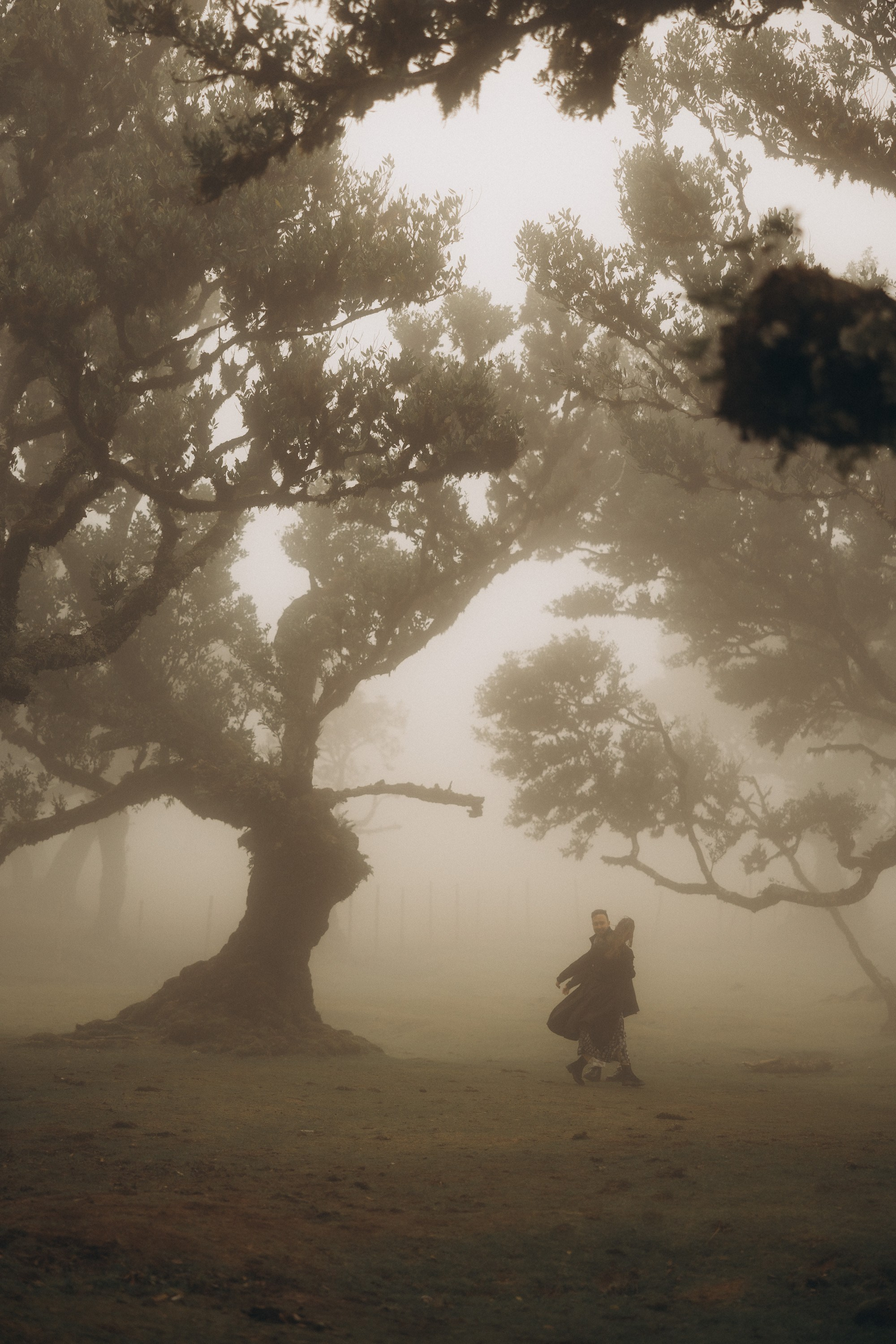 Couple photoshoot in Fanal Forest Madeira PortugalA romantic couple standing amidst the ancient laurel trees of Fanal Forest, Madeira, surrounded by a mystical fog that adds an ethereal touch to the scene