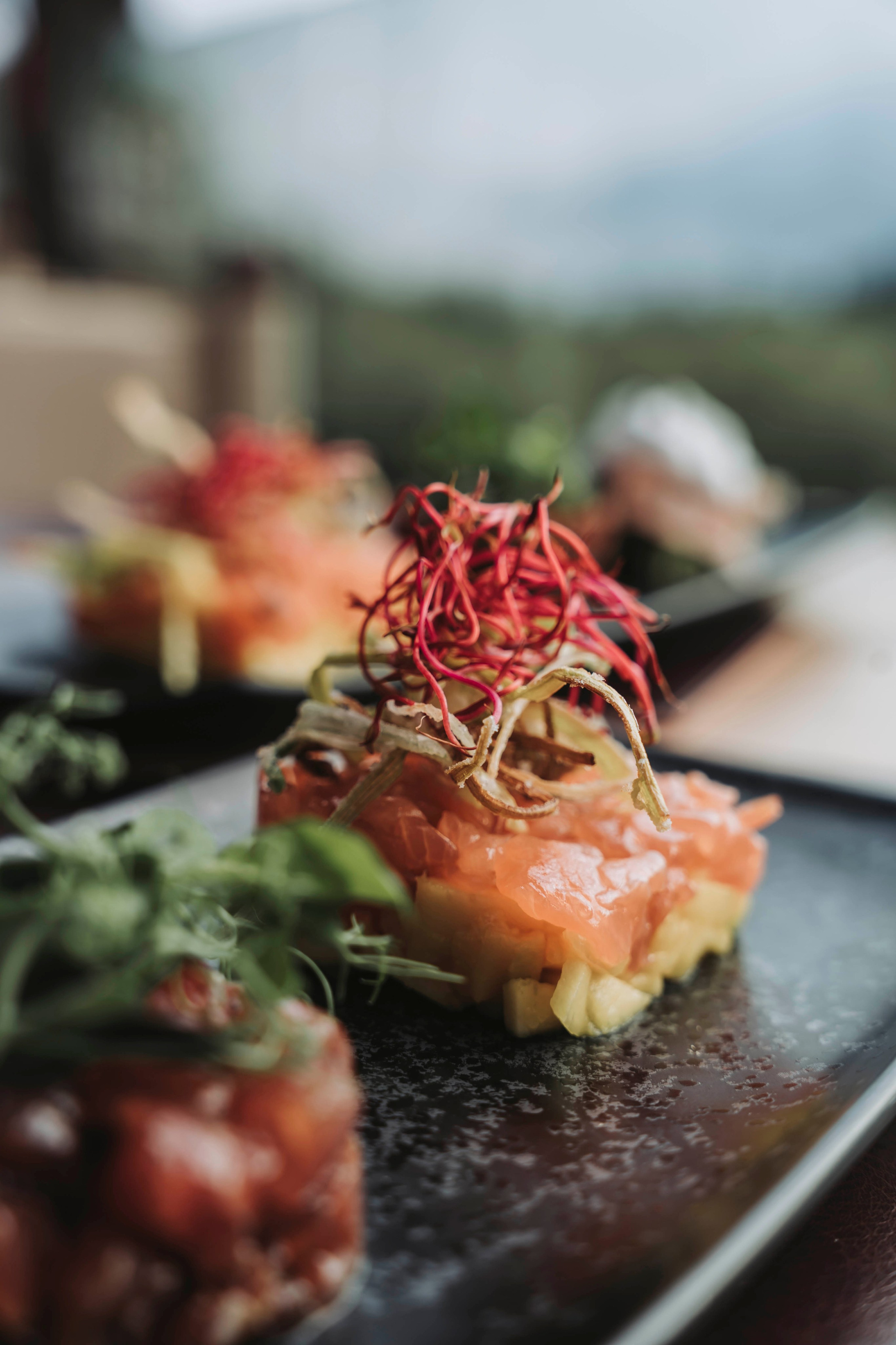 Hotel il Querceto - Lago di Garda. Fotografia e video