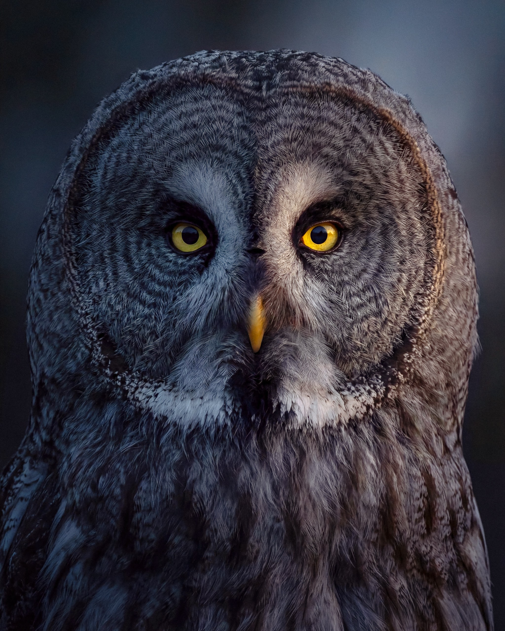 Photos of places around the World