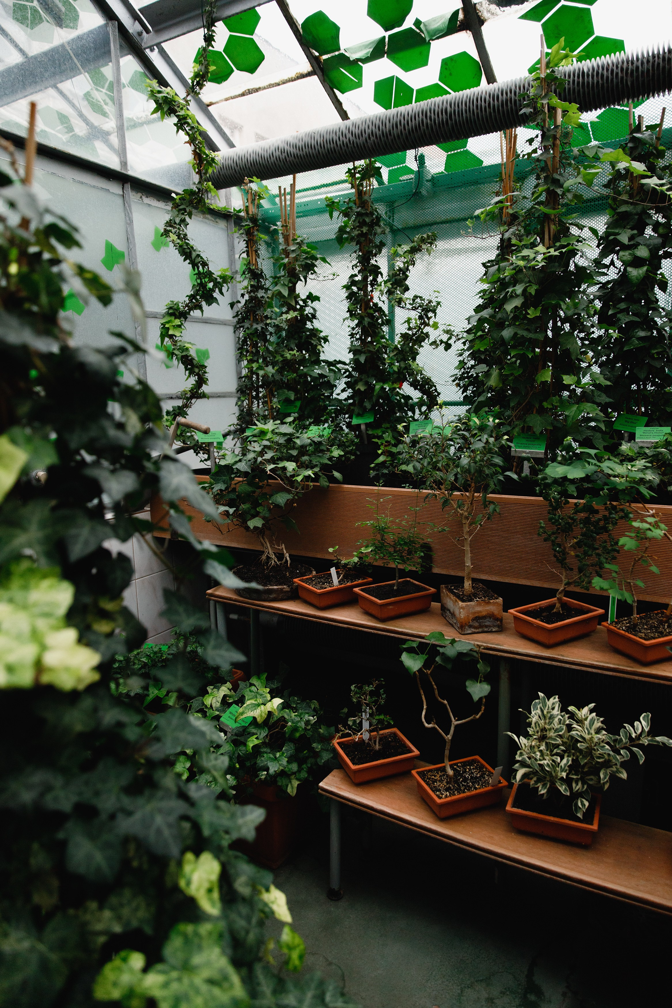 Botanical garden in Wroclaw. Kaja | fotograf we Wrocławiu | ludzie i psy