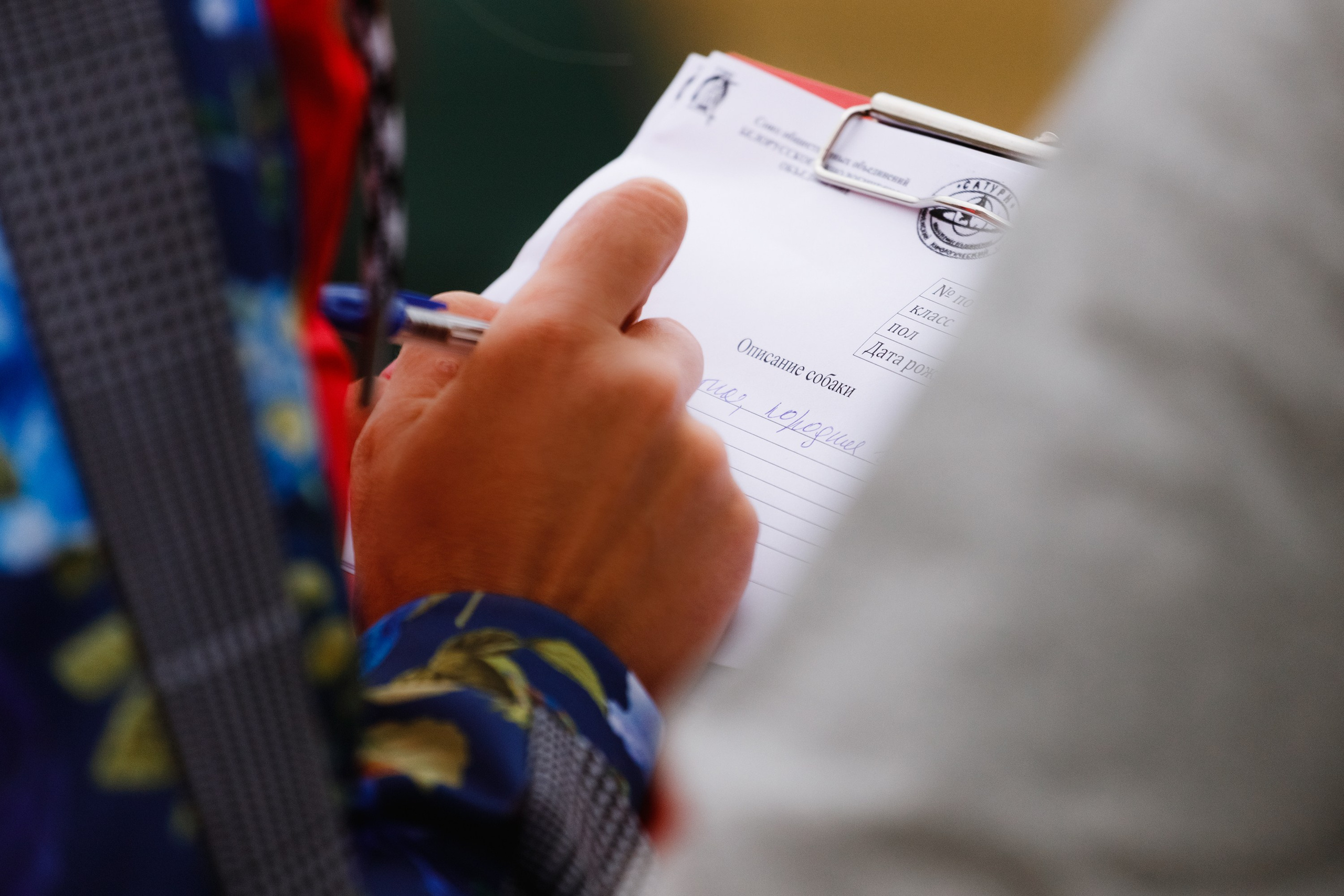 Rainy dog show in Grodno. Kaja | fotograf we Wrocławiu | ludzie i psy