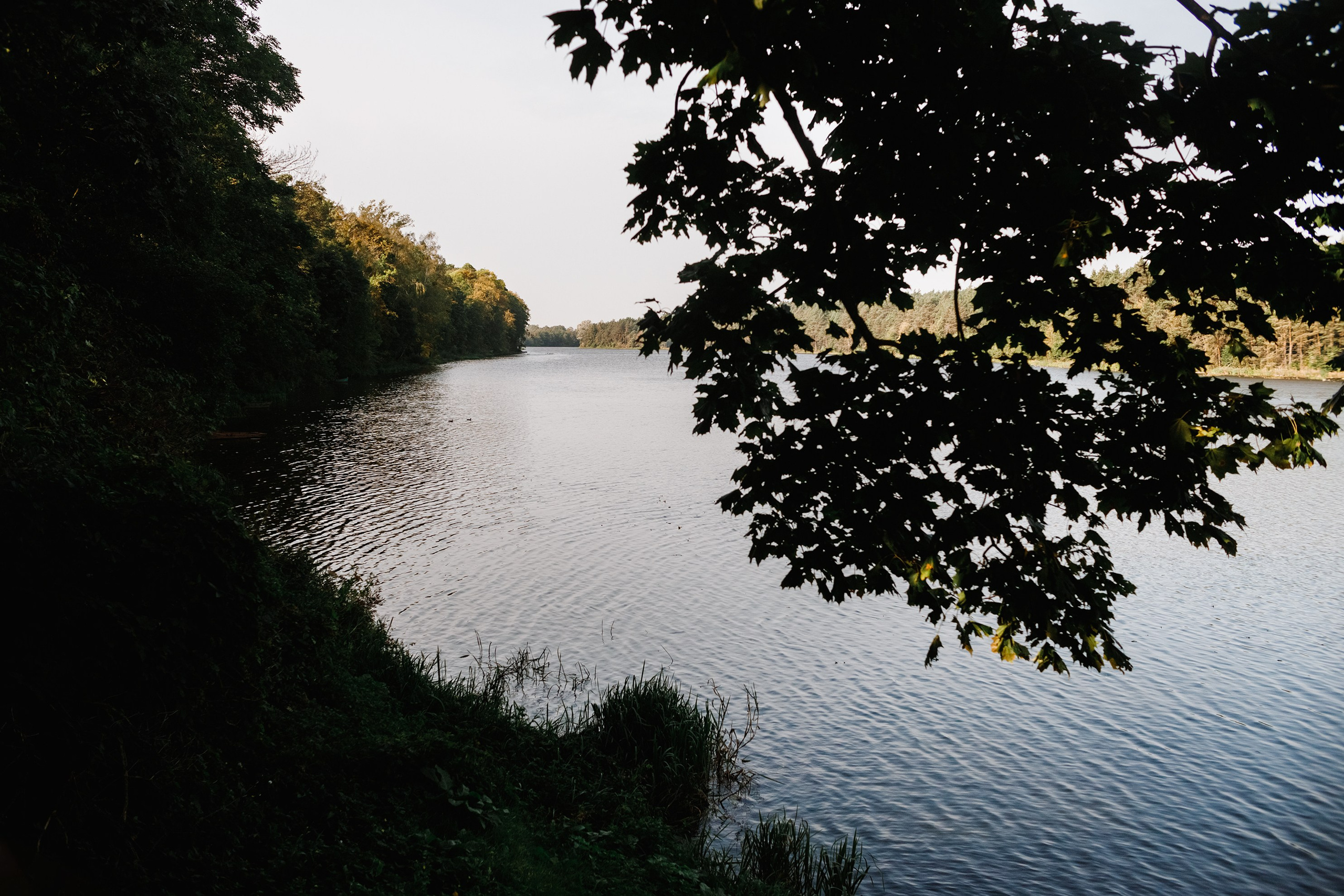 One small village in Grodno region. Kaja | fotograf we Wrocławiu | ludzie i psy