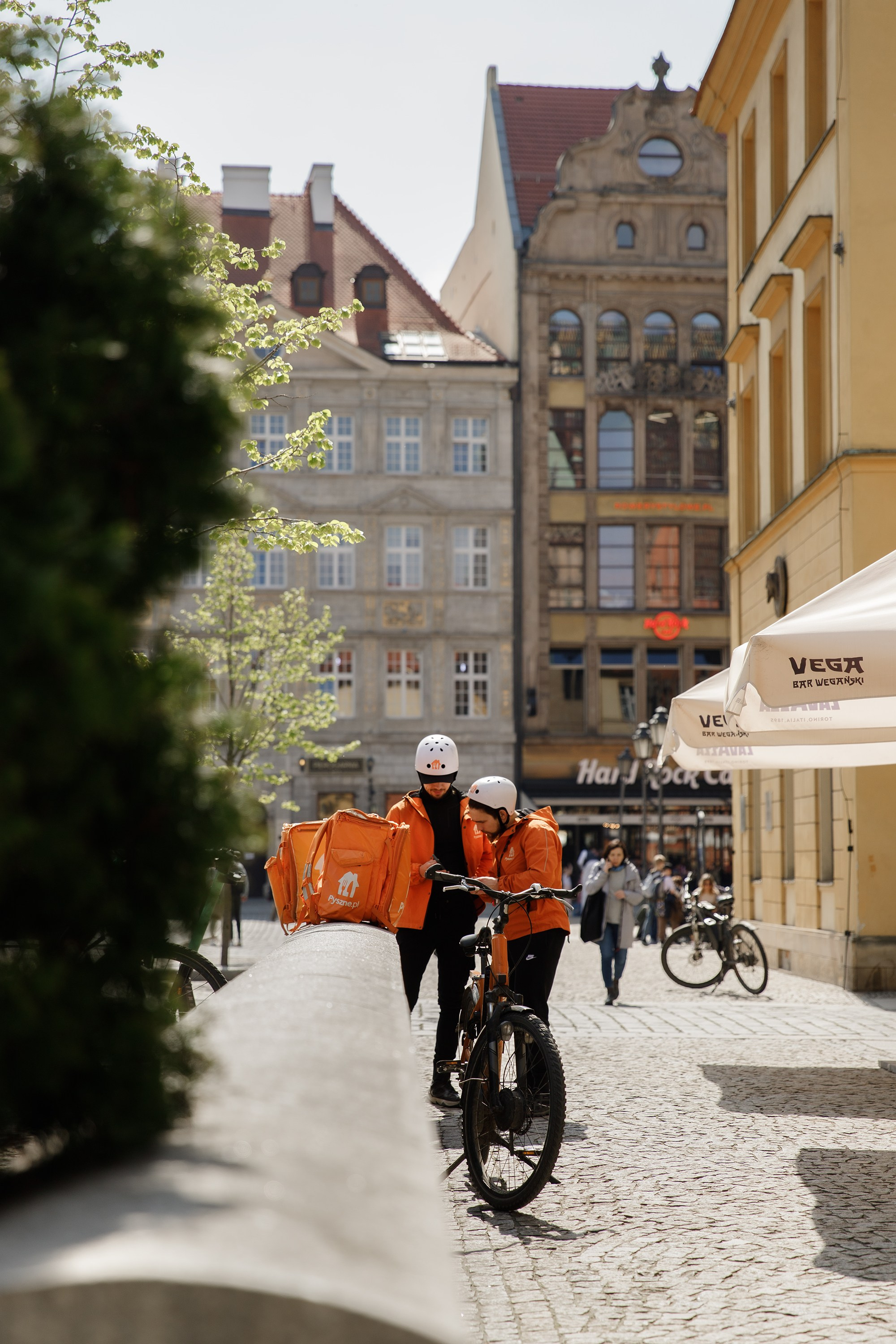 Wroclaw | the best ones. Kaja | fotograf psów we Wrocławiu