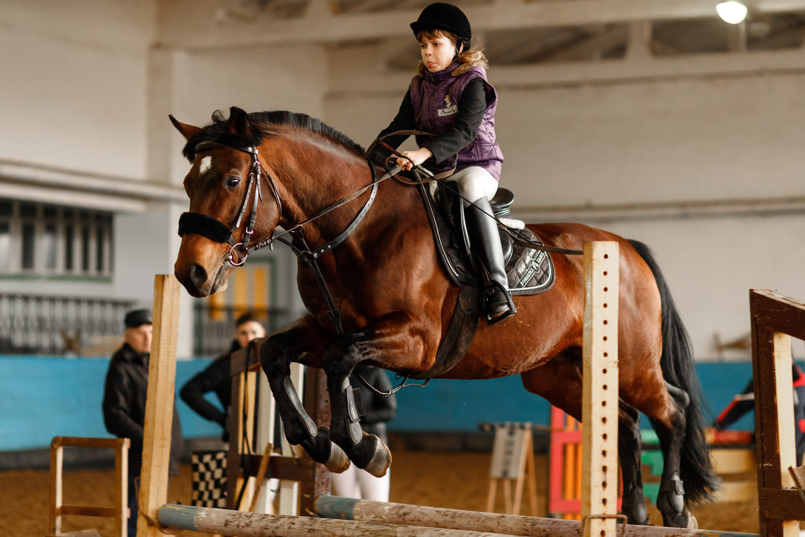 Winter show jumping in «Progress». Kaja | fotograf we Wrocławiu | ludzie i psy