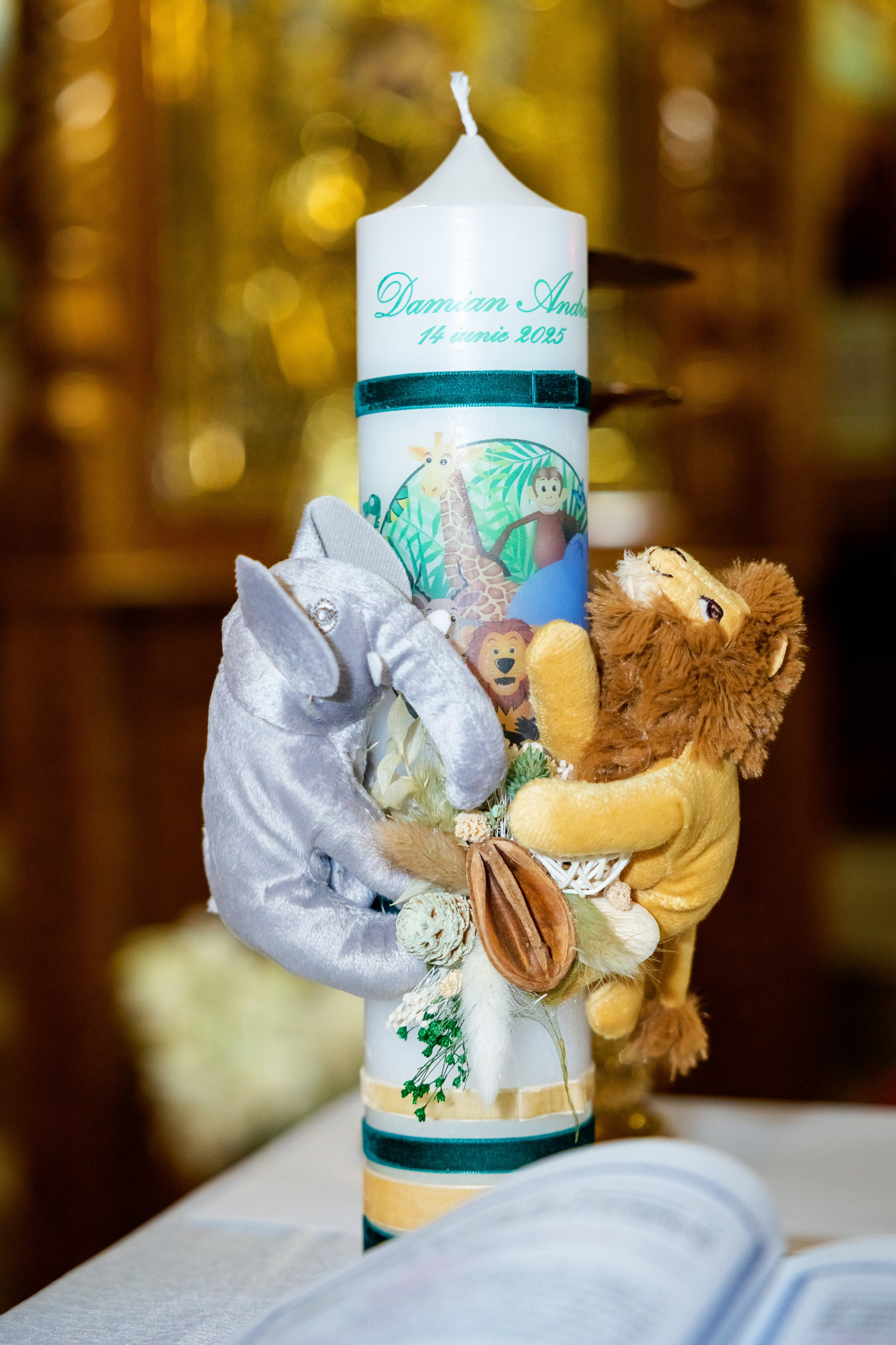 Andrei Damian. Moments By Gub