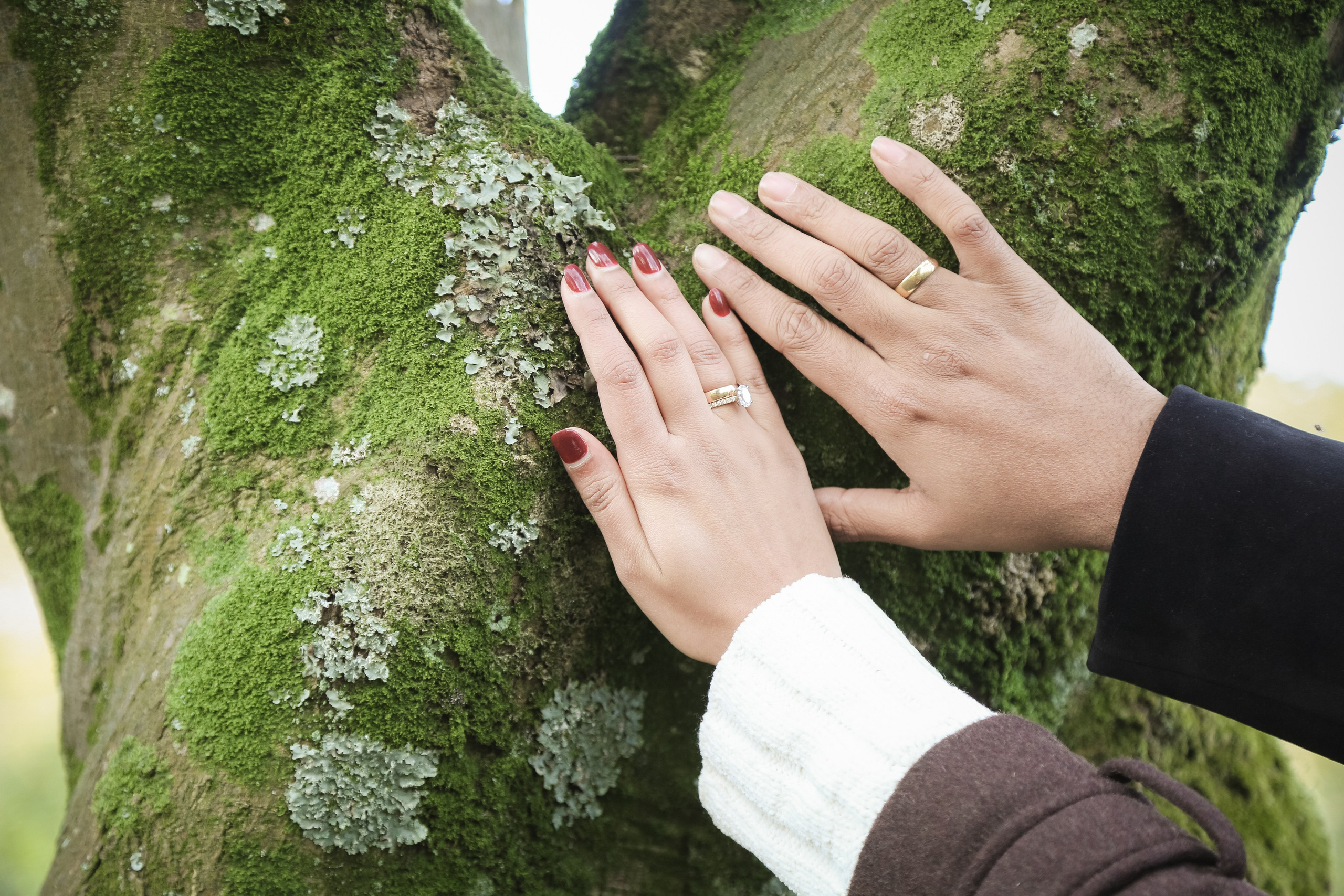 A quiet, symbolic detail of two hands resting against textured bark, highlighting commitment, connection, and the beauty of simple moments.