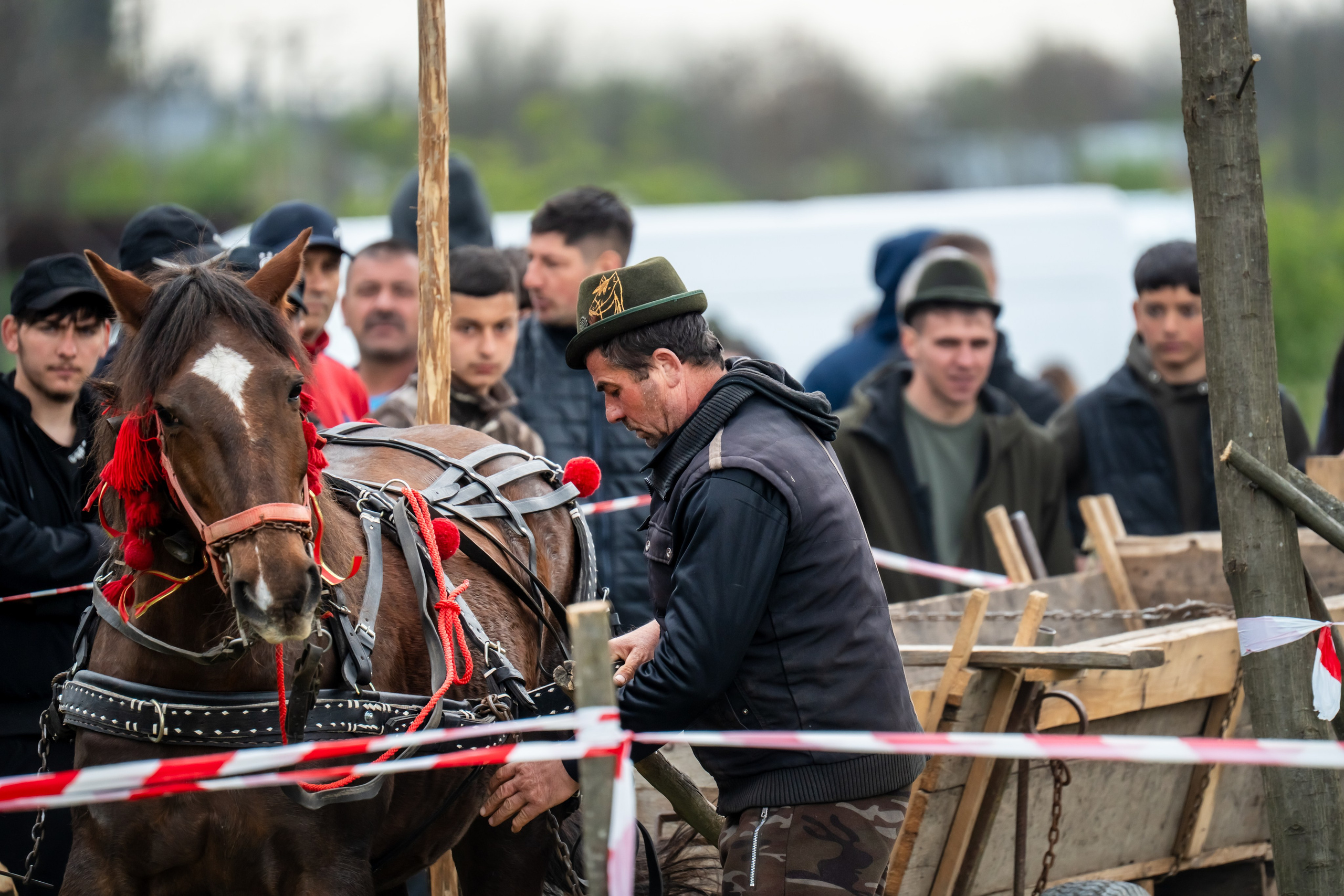 Concurs Ecvestru Vărbilău ediția a 4-a. Mihai Alexandra Events