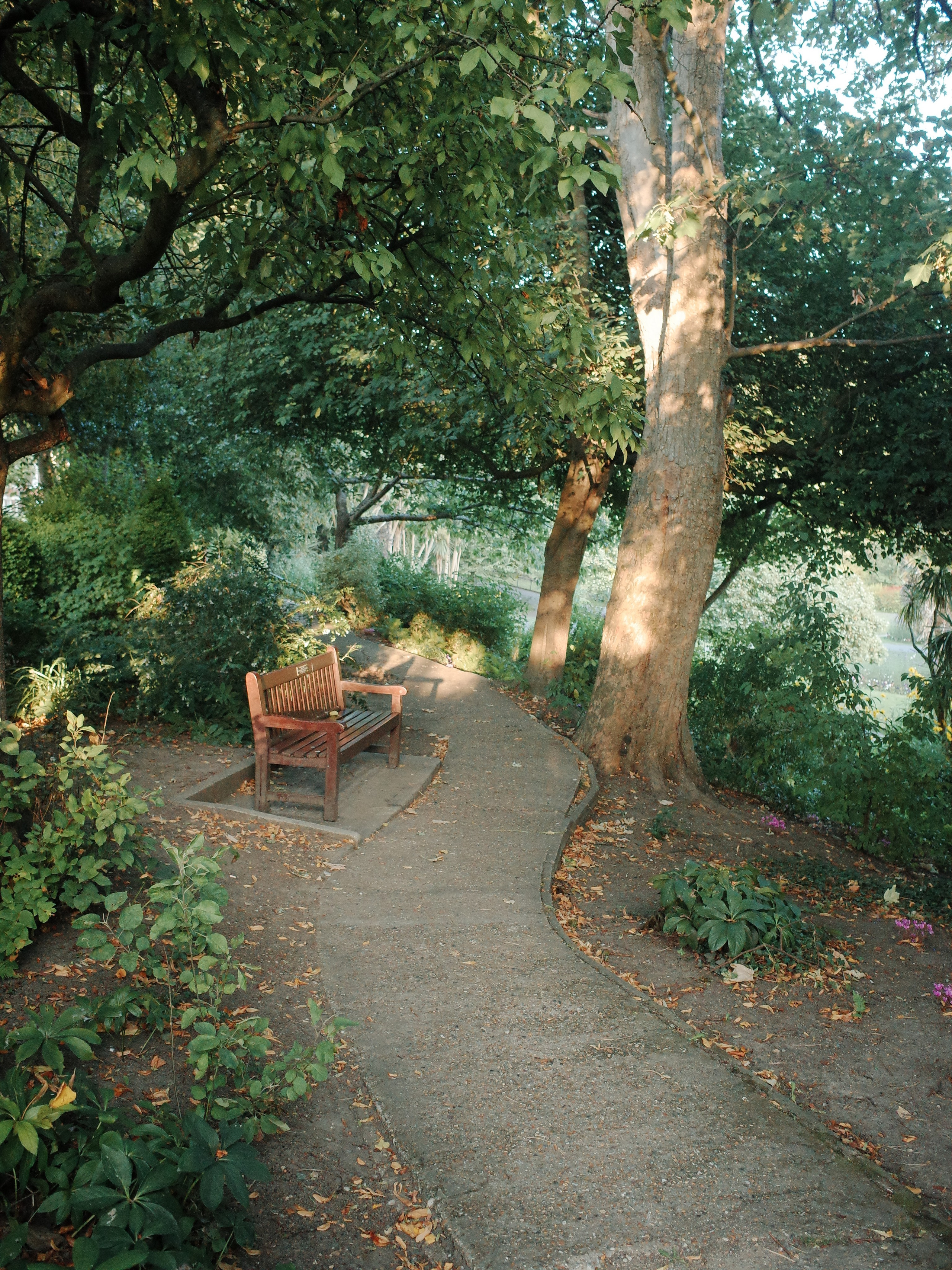 Garden of Forking Paths. Victoria Dini. Art photography in London / Folkestone, UK